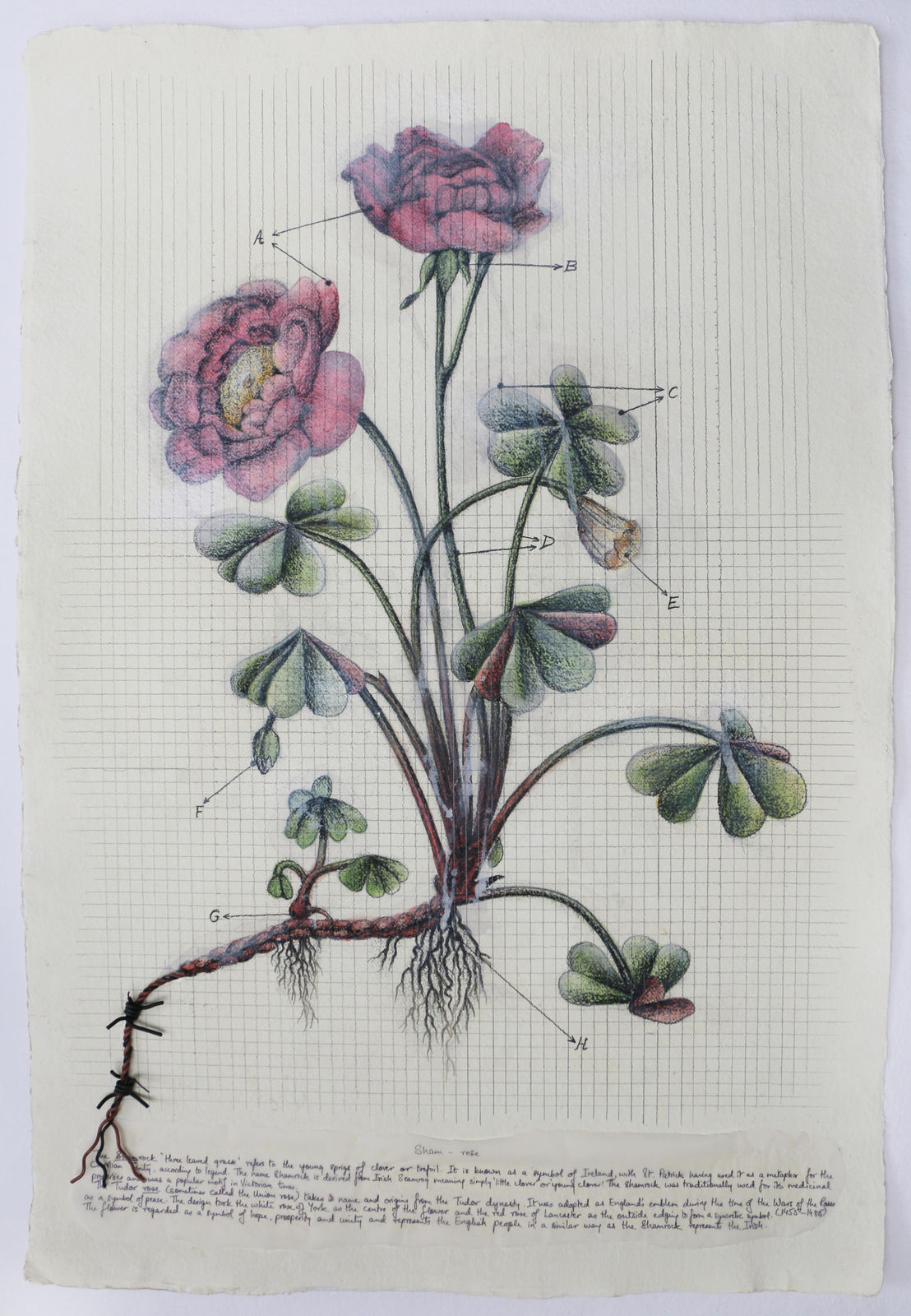 Reena Saini Kallat, Hyphenated Lives, 2016