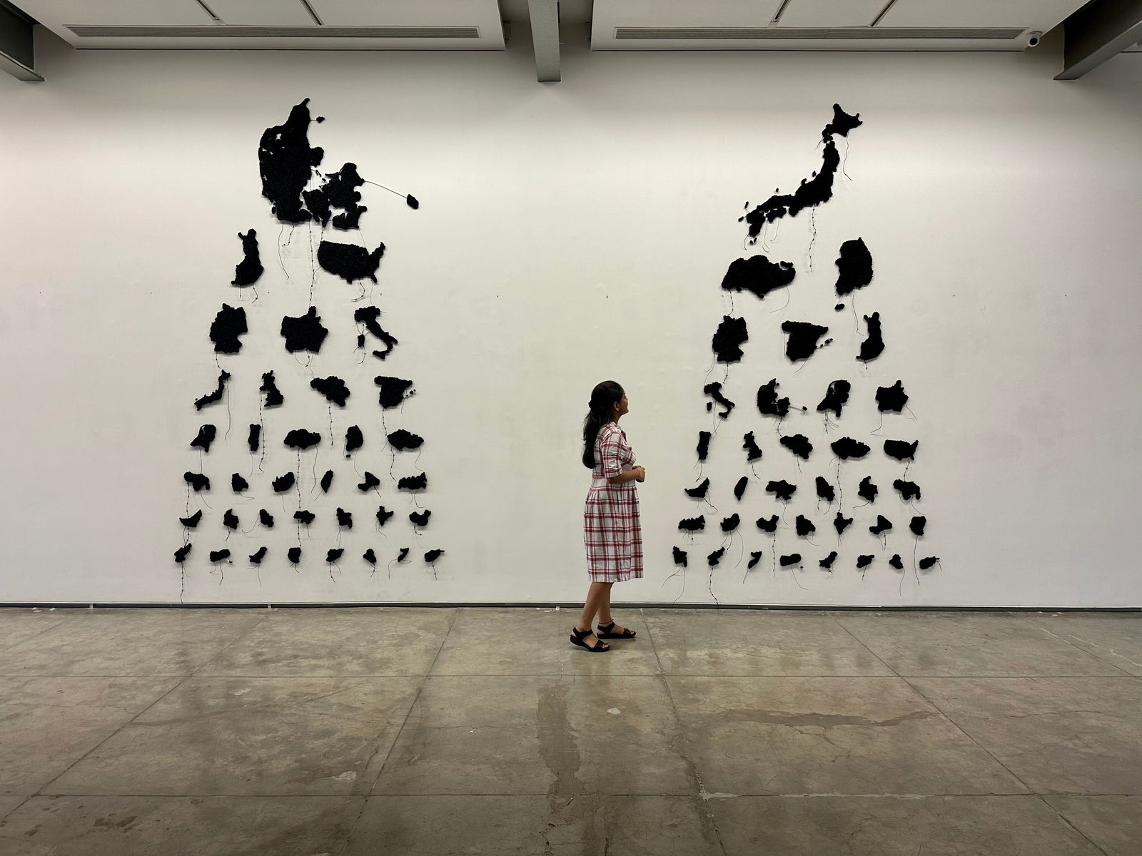 Reena Saini Kallat, Pattern Recognition, 2023