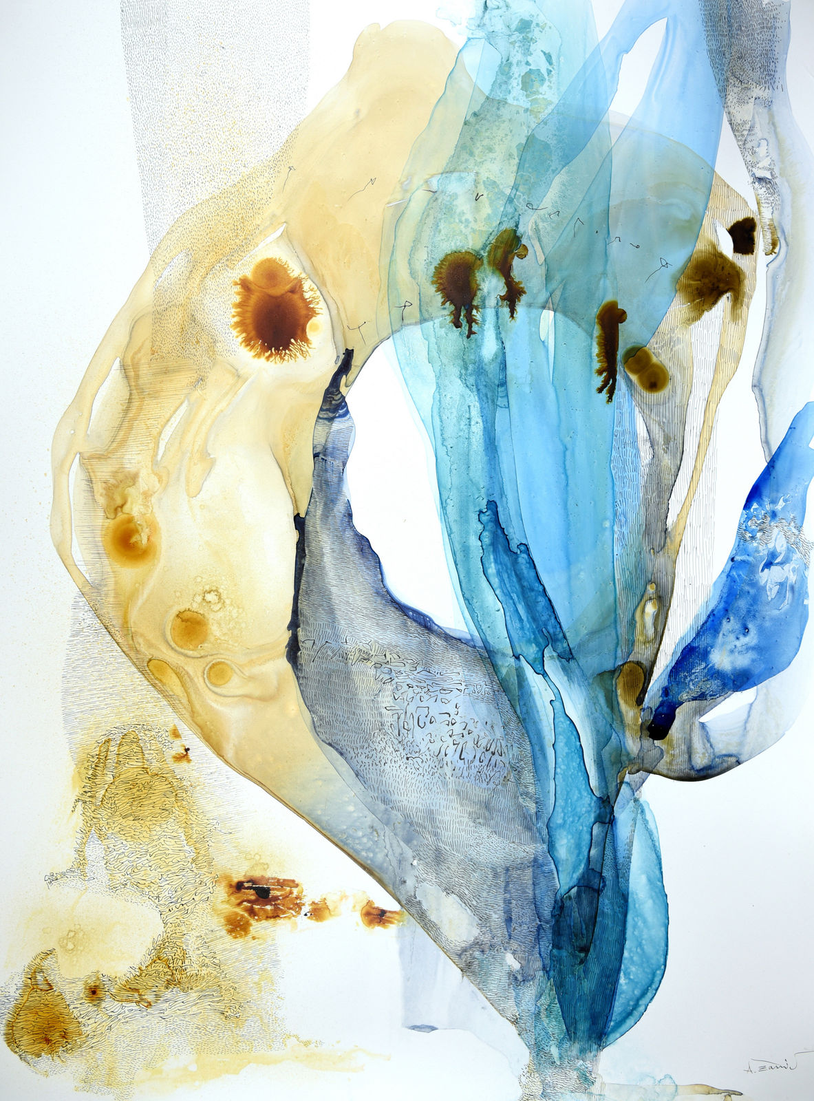 Ana Zanic, Origin Aqueous XIV, 2025