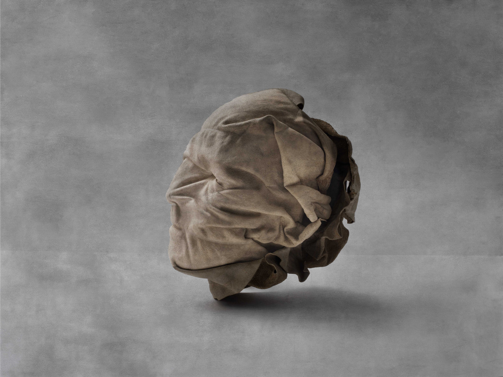 Charles Shotwell, Head of Itself