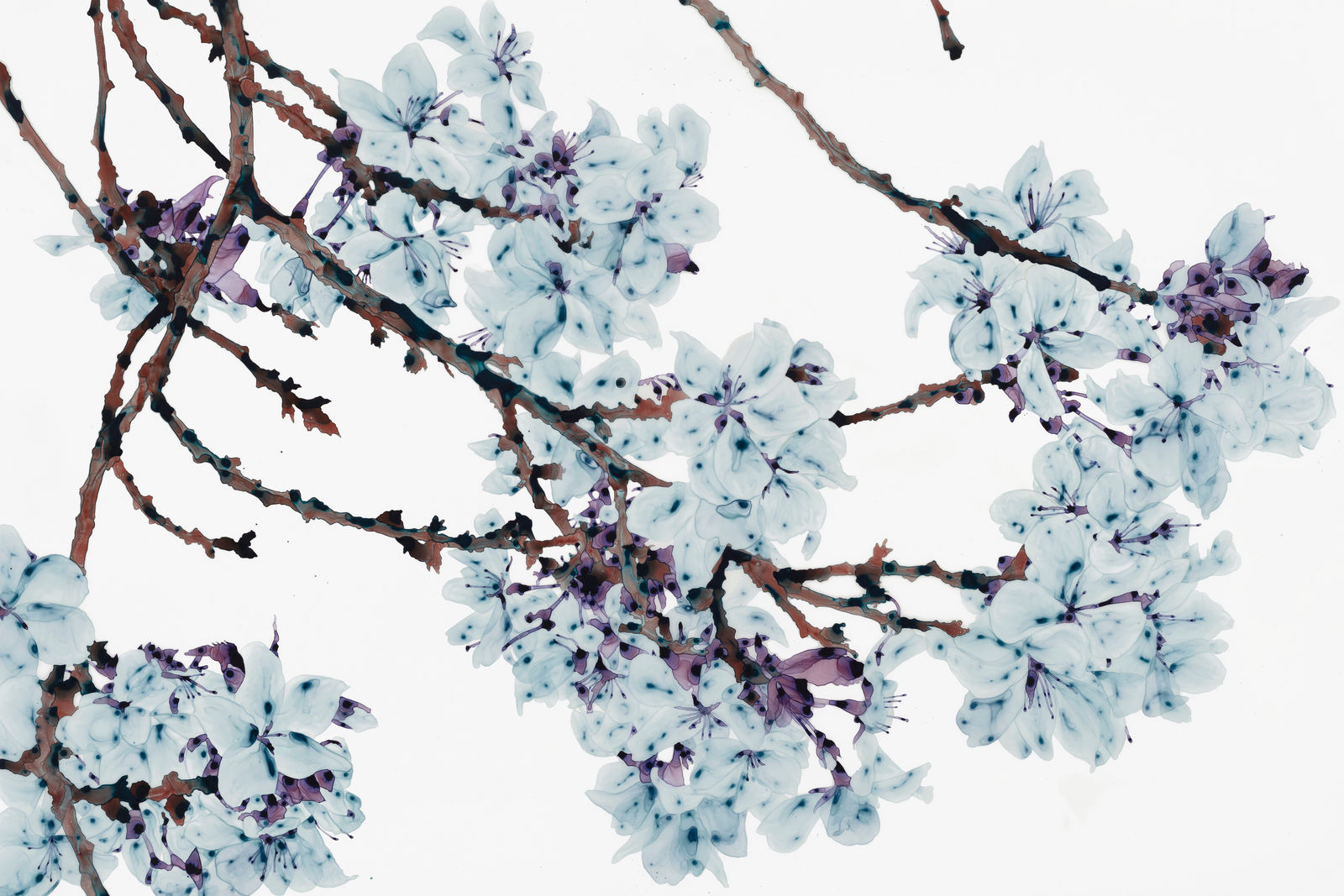 Jackie Battenfield, Gossamer Tango II, 2021