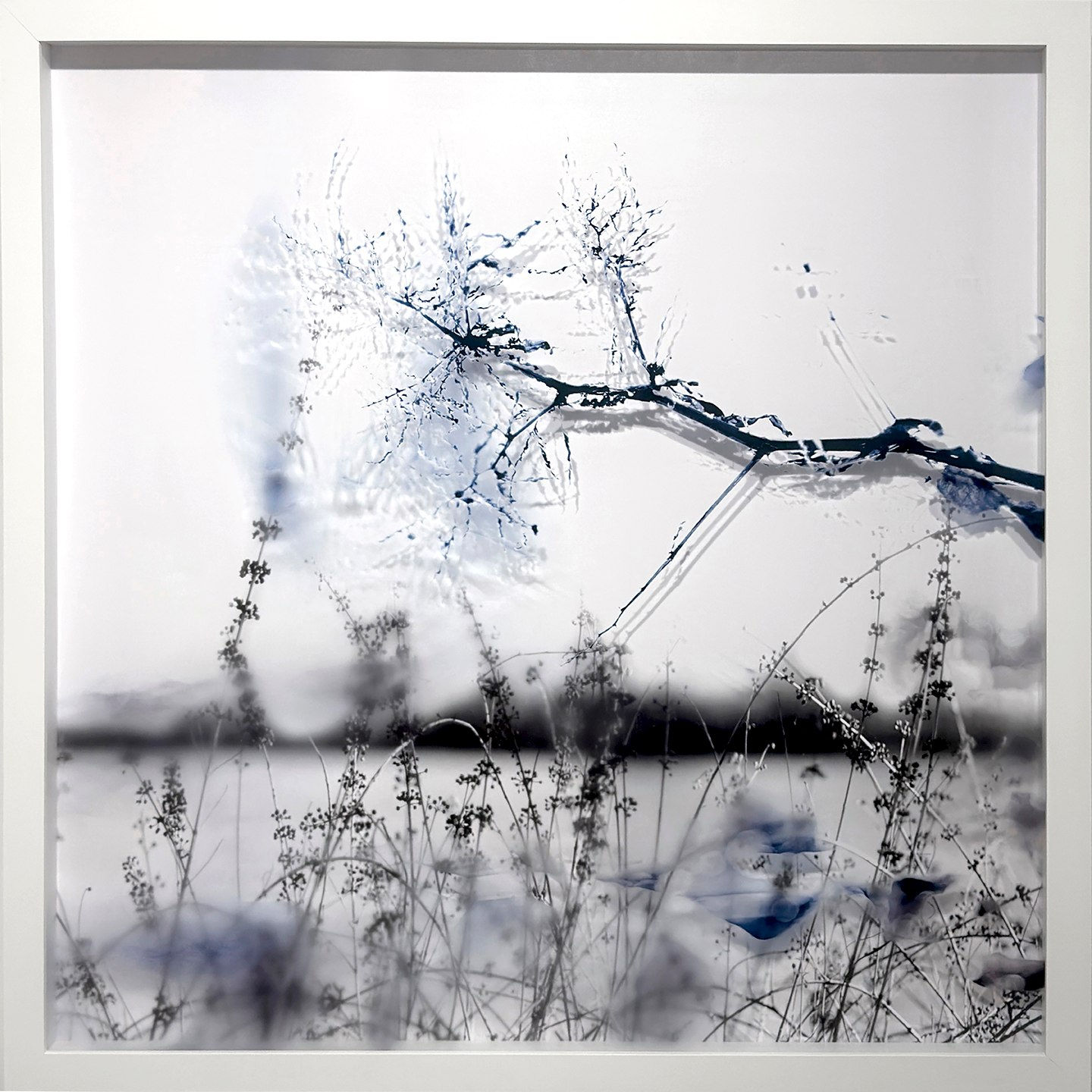 Arlene Byster, Meadow, 2025