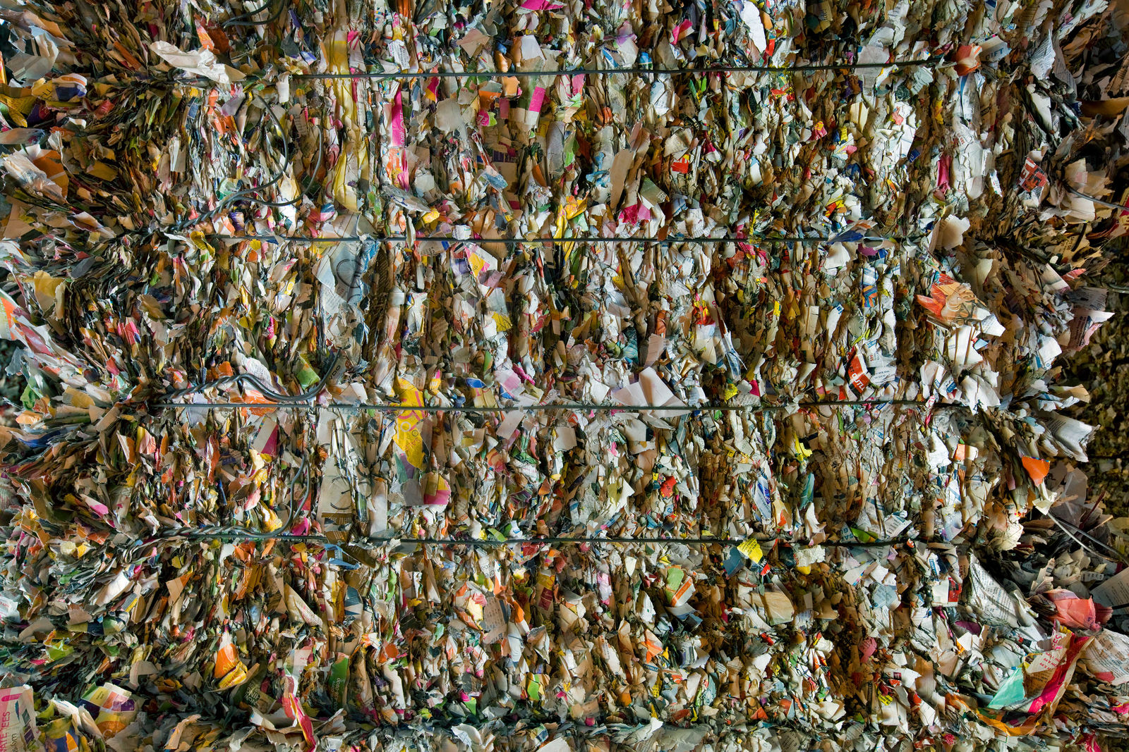 Charles Shotwell, Bale Wire, 2022