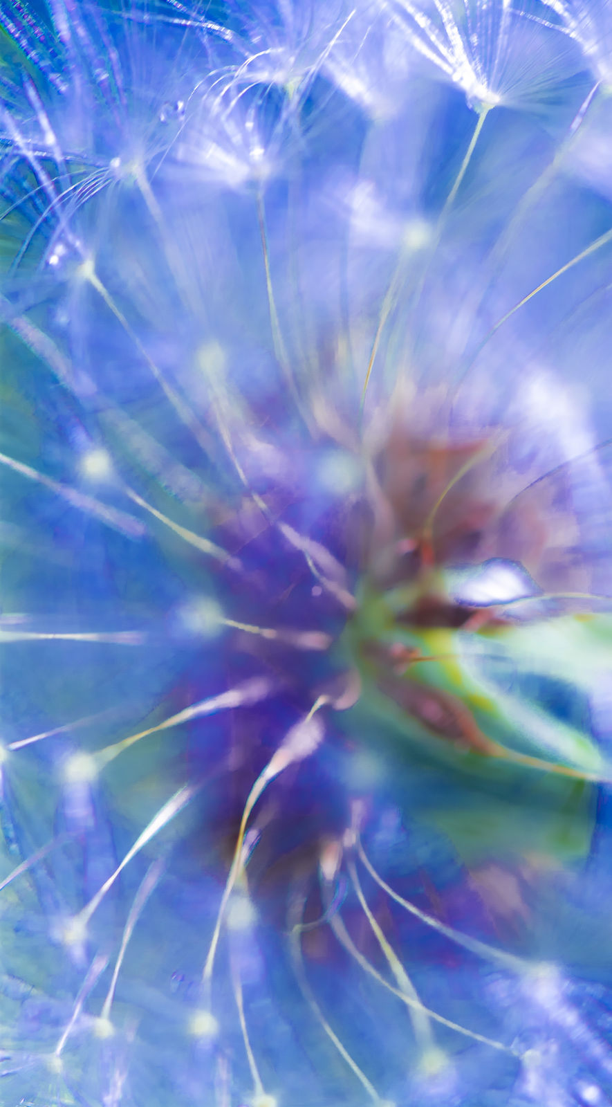 Larry Emerson, IMG_0246