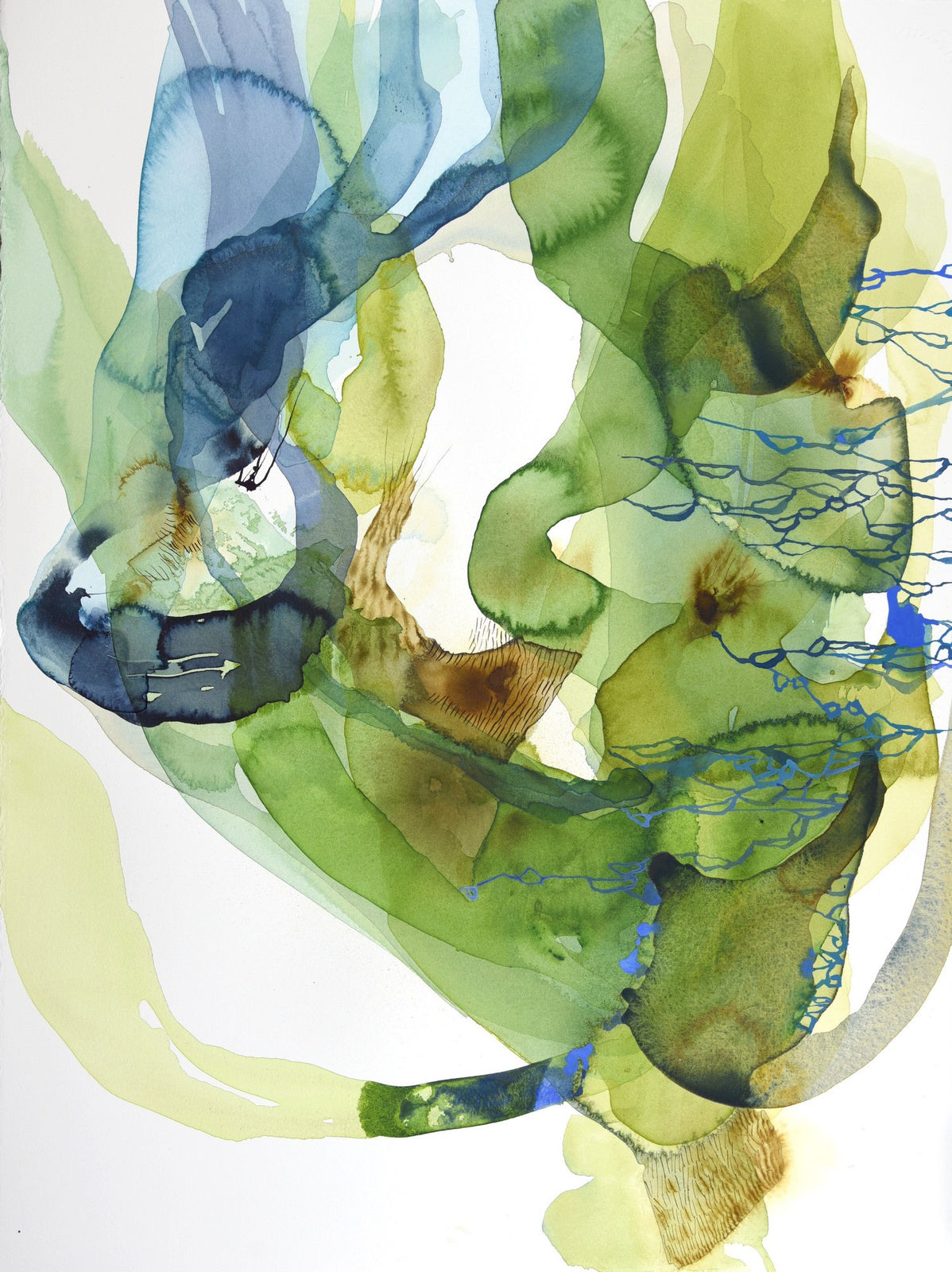 Ana Zanic, Viridis XI, 2025