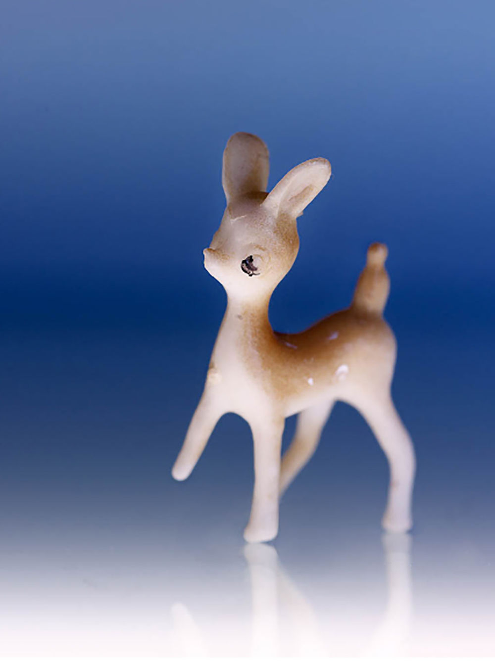 John Faier, Solitary Objects - Deer