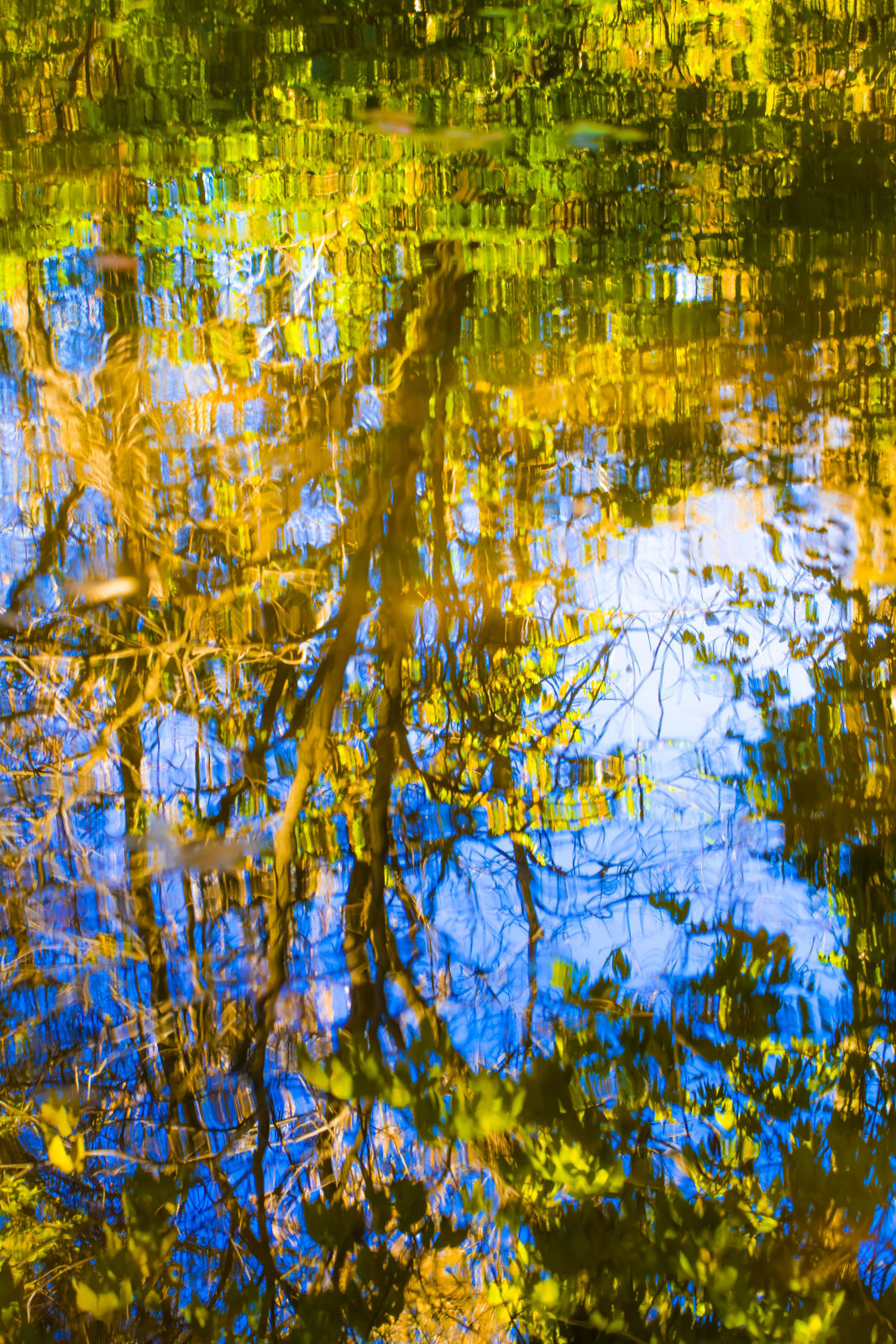 Larry Emerson, Fall Oct 27, 2013-12