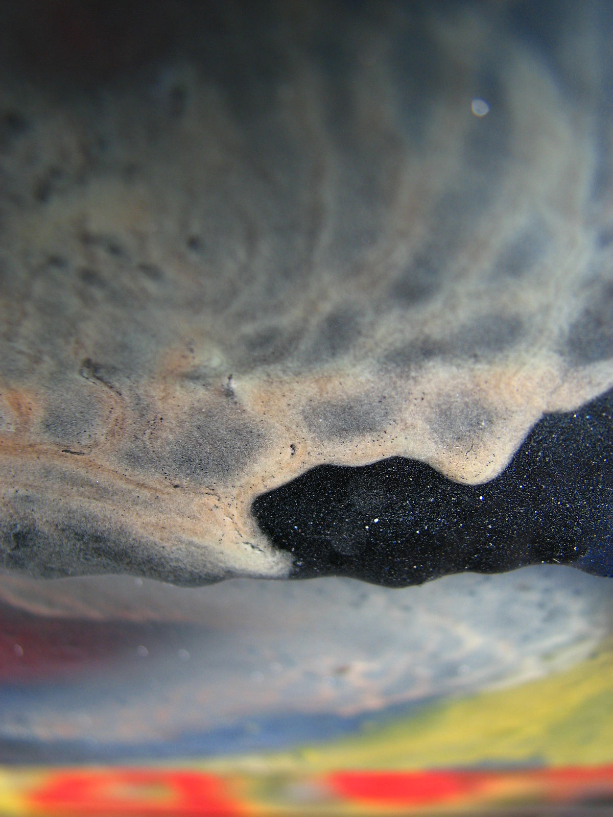 Brian Lane, Ebb and Flow