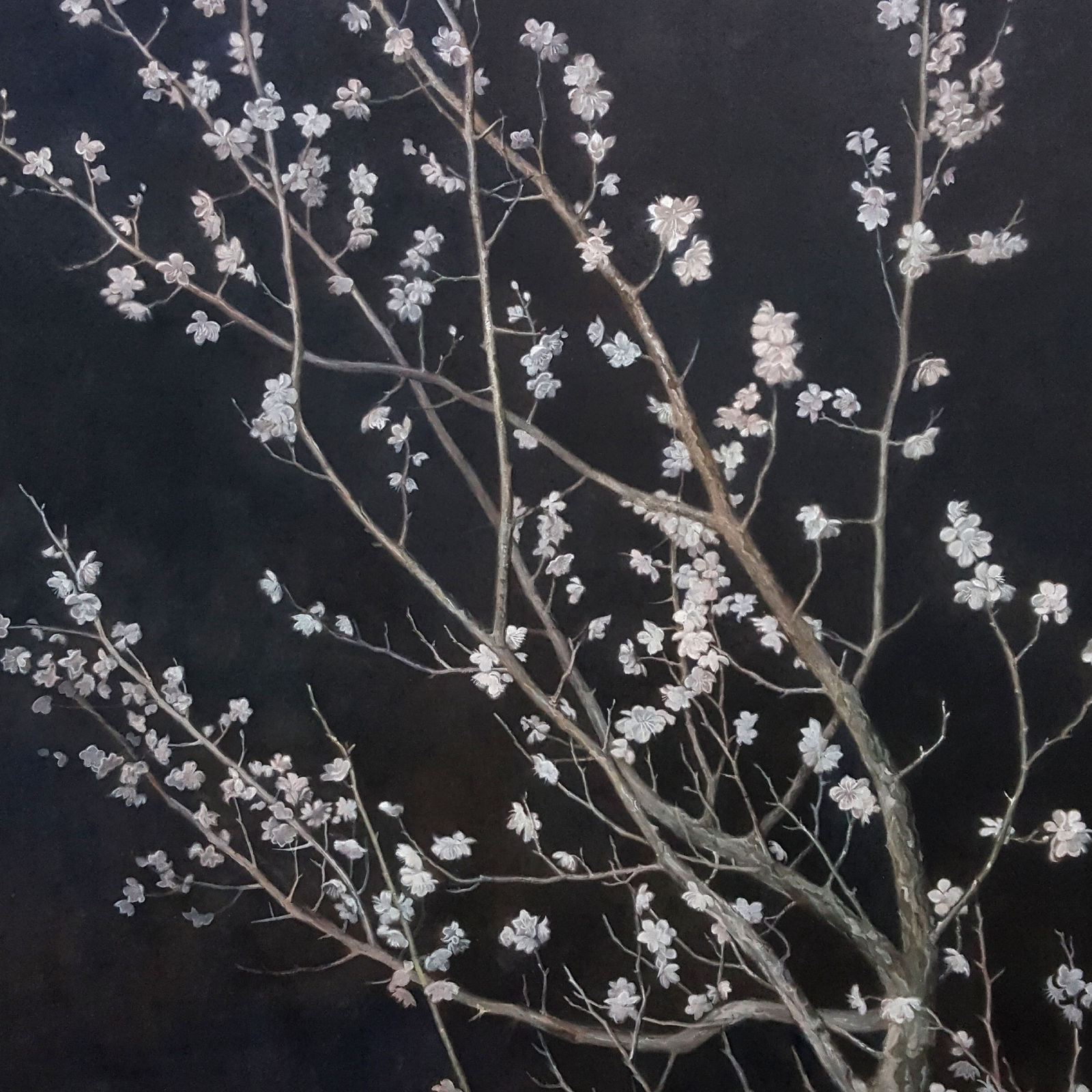 Jae Ho Jung, Hospitality of the Night, 2021