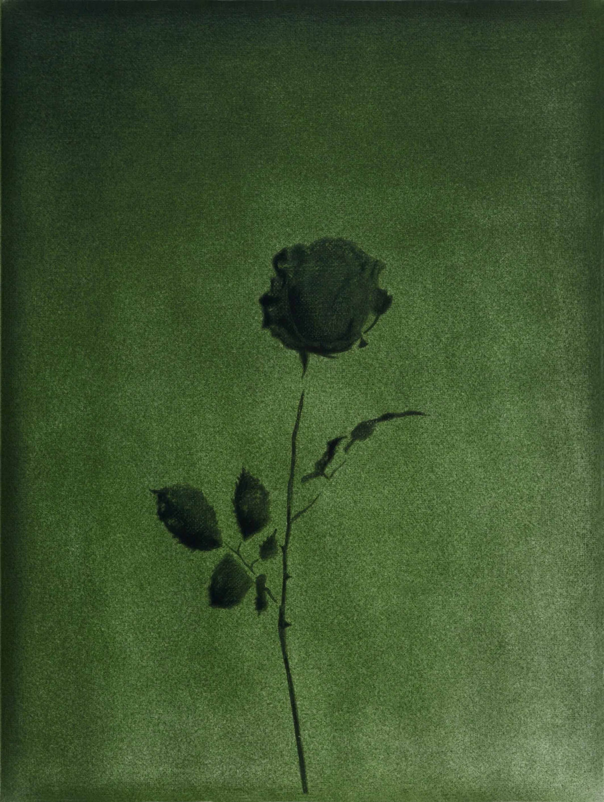 Bertram Hasenauer, Untitled, 2020