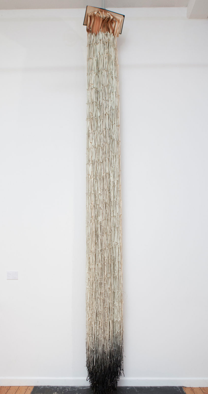 Jukhee Kwon, Dipping into Darkness, 2013