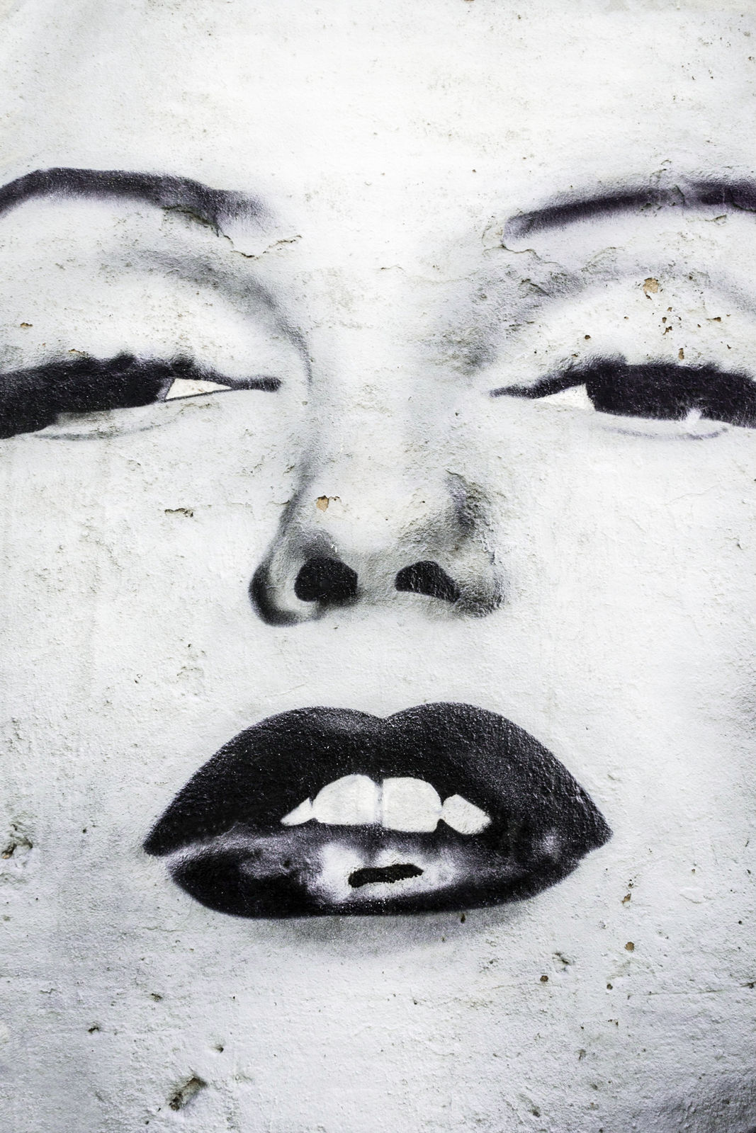 Christine finkelson, Decay, 2017