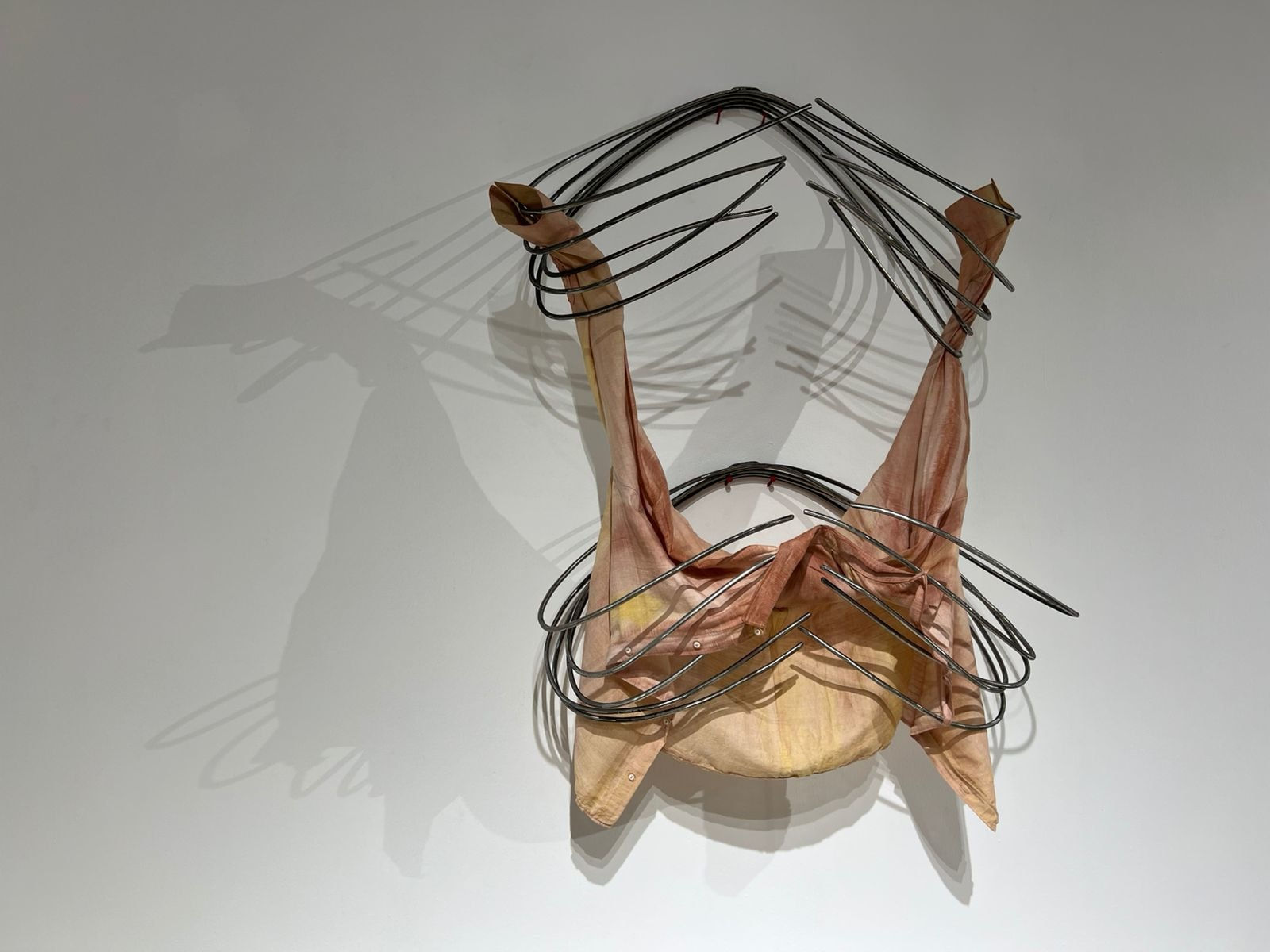 Tahir Carl Karmali, Our ribs were made the same way, 2025