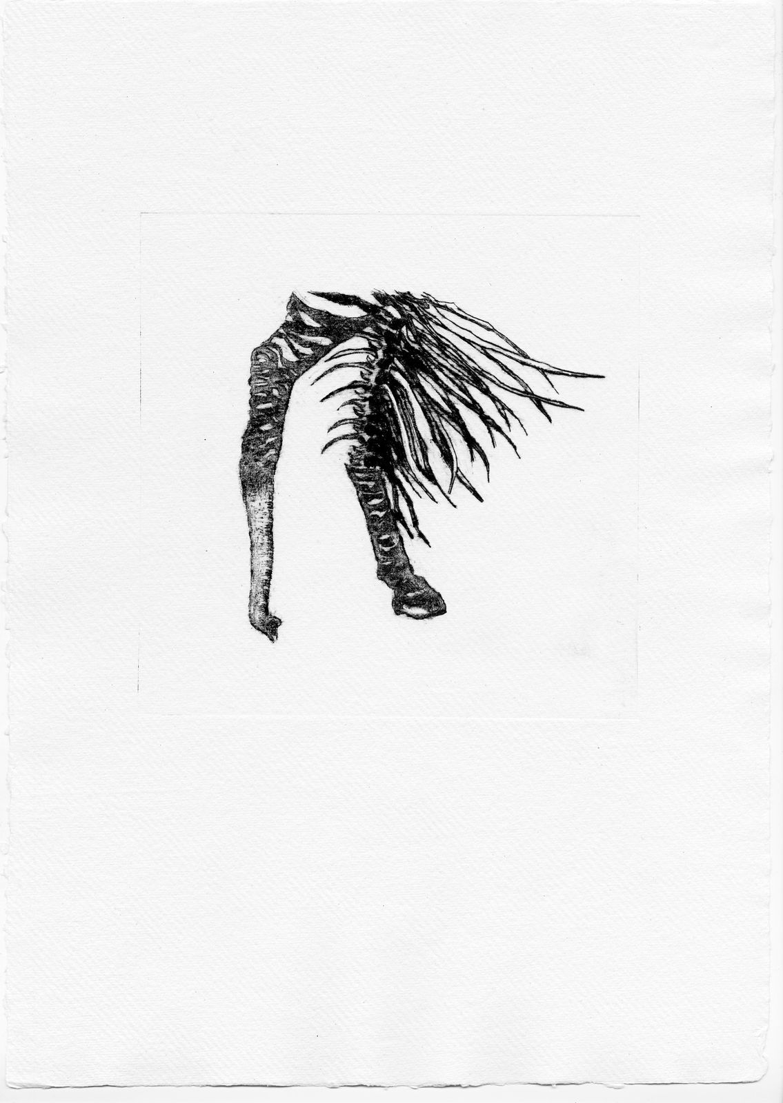 Jackie Karuti, Exquisite corpse 7, E.d 1/12, 2024