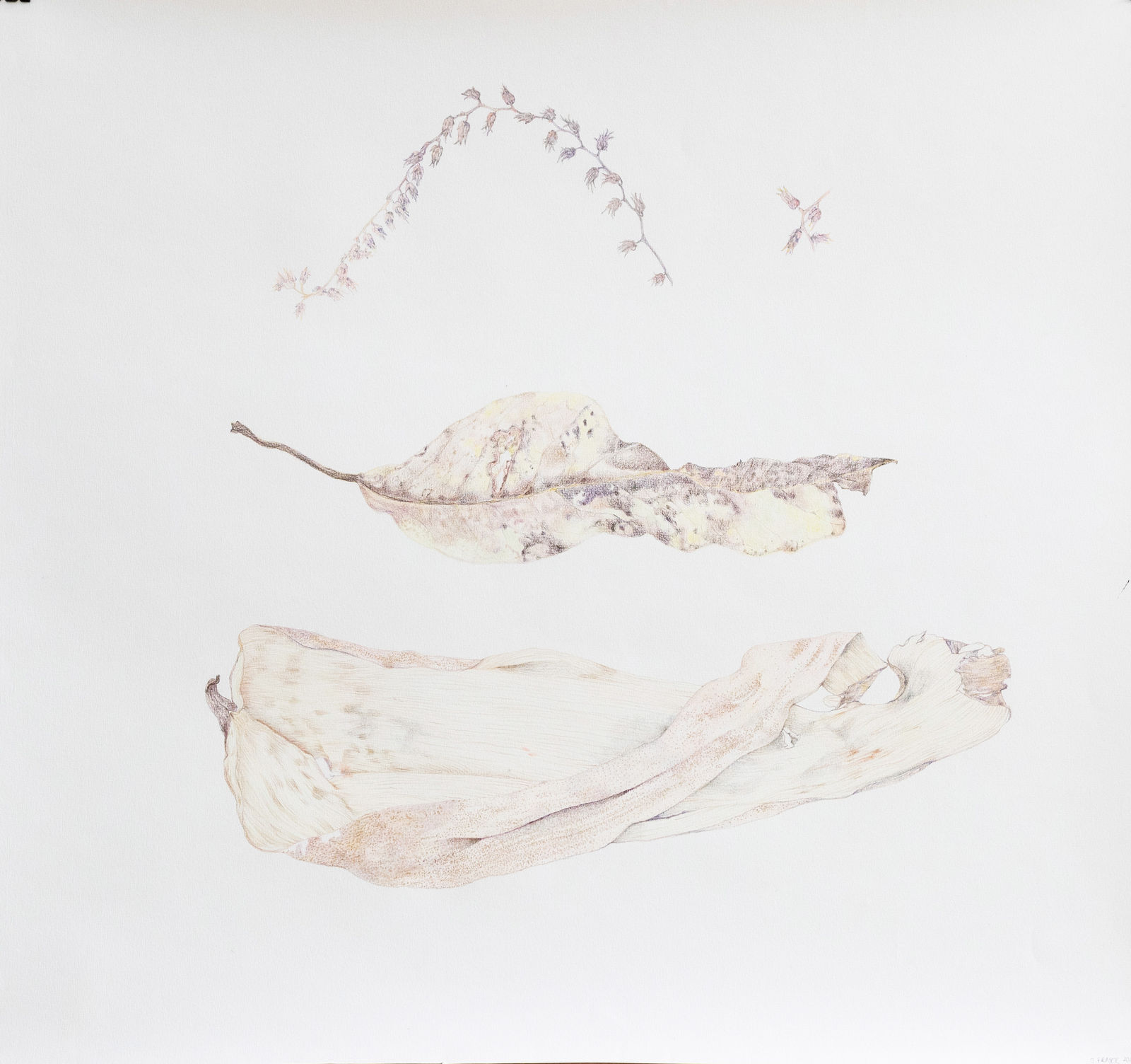 Jonathan Sölanke Gathaara Fraser, Pressed Forever II, 2024