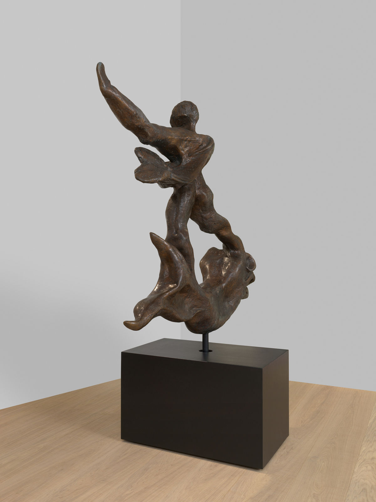 Salvador Dali (1904-1989), Homme au dauphin, 1973