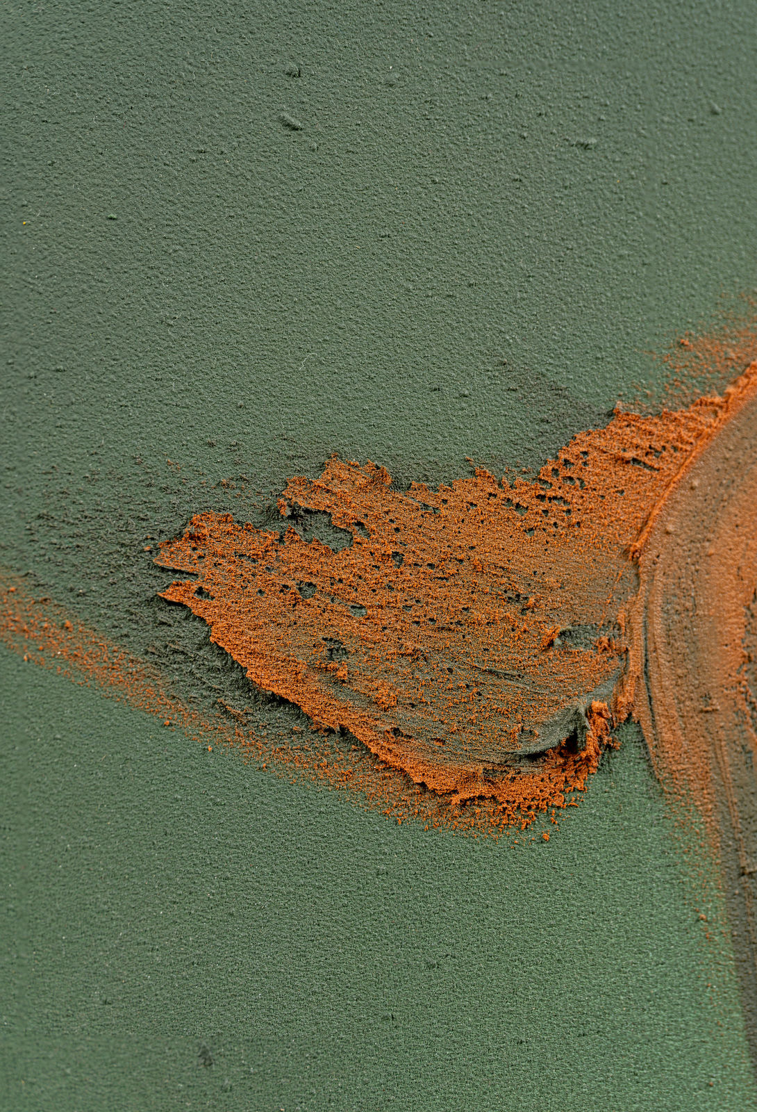 Claire Baker, bloom burst 5, 2024