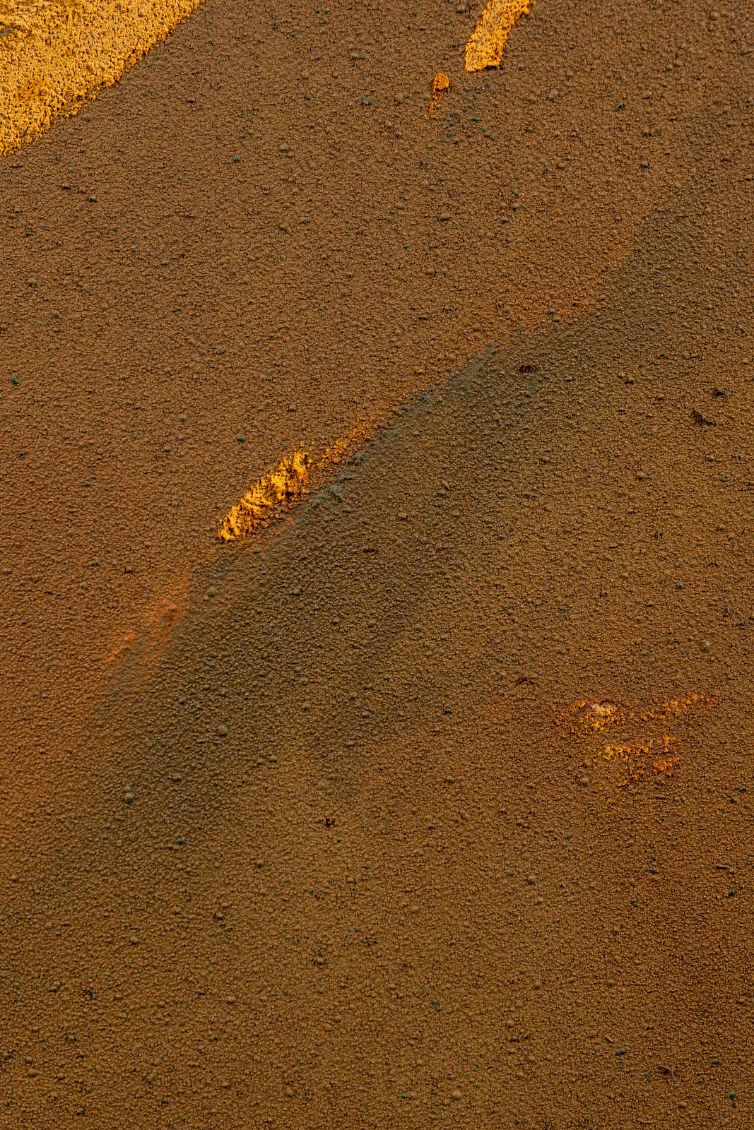 Claire Baker, one petal, rippling (afternoon, Western Ghats, Maharashtra, October 11, 2024), 2024