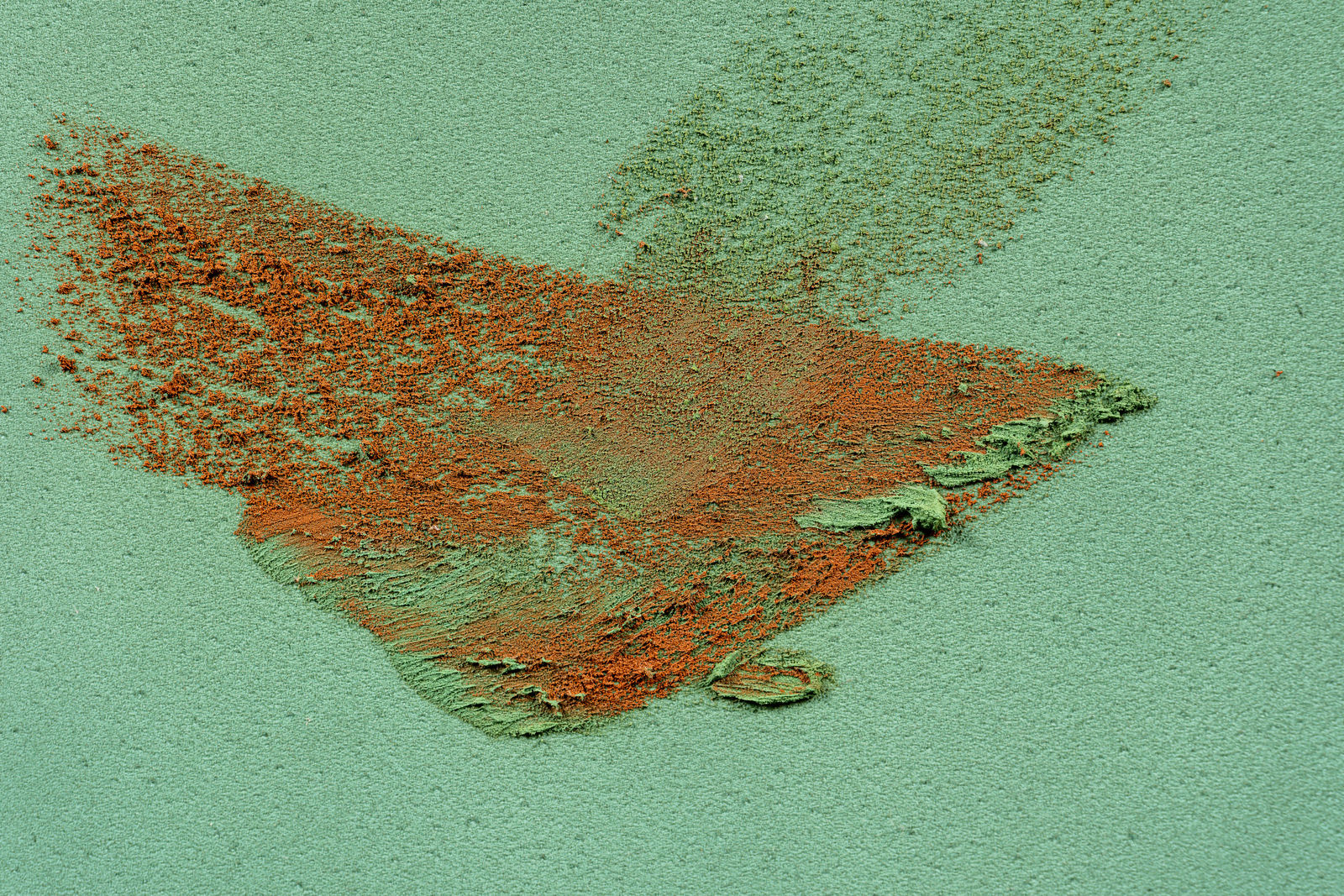 Claire Baker, bloom burst 2, 2024