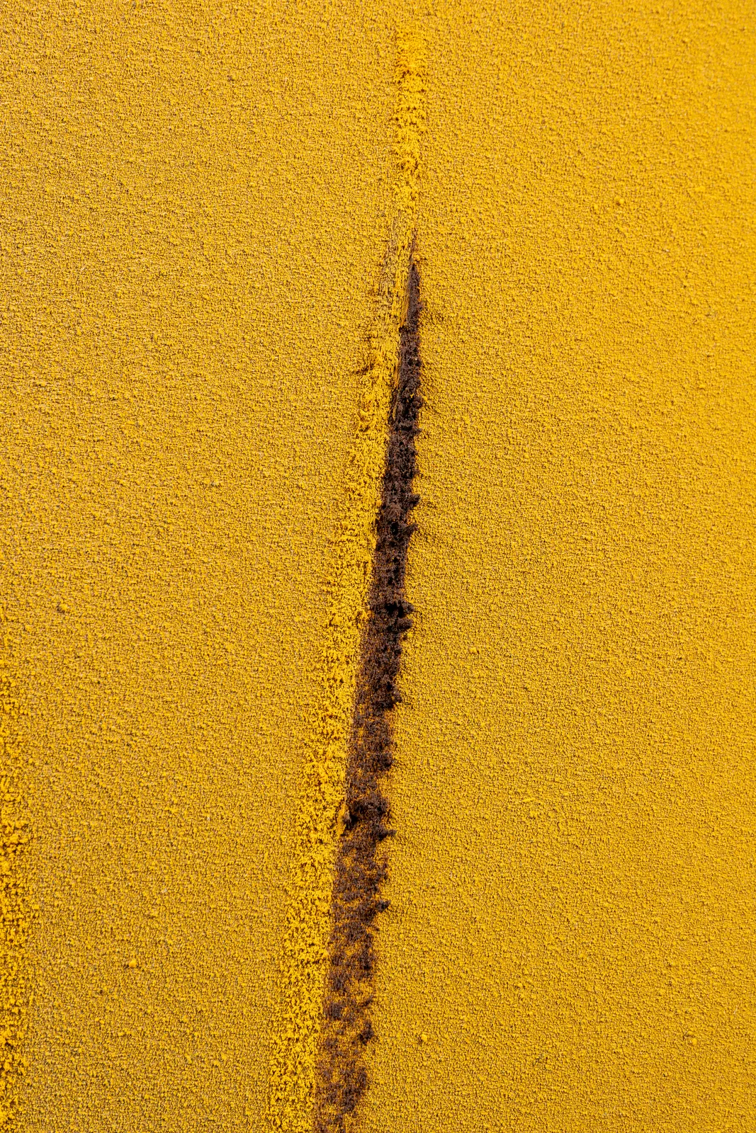 Claire Baker, wait, slow pour 1 of 6 (afternoon, Western Ghats, Maharashtra, September 27, 2024), 2024