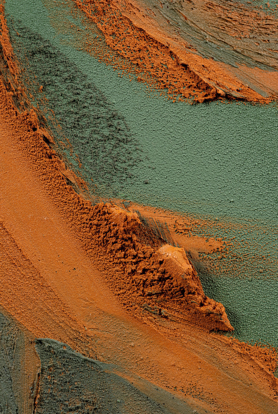 Claire Baker, bloom burst 4, 2024