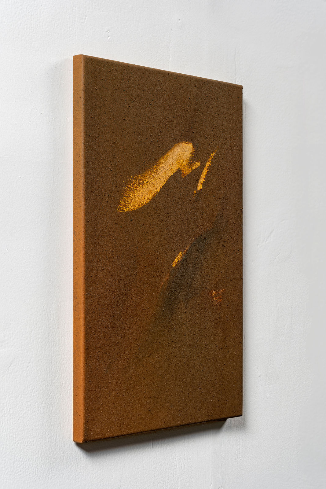 Claire Baker, one petal, rippling, 2024