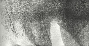 Claire Baker, monsoon books IV, 2020