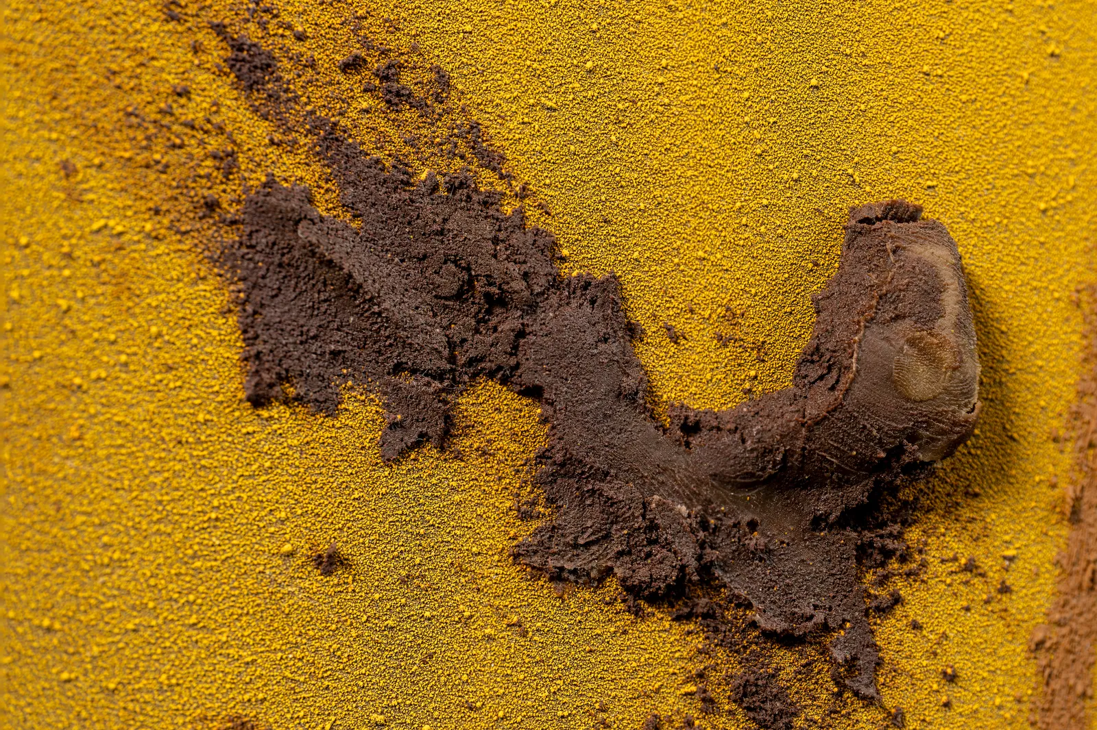 Claire Baker, wait, slow pour 3 of 6 (afternoon, Western Ghats, Maharashtra, September 27, 2024), 2024