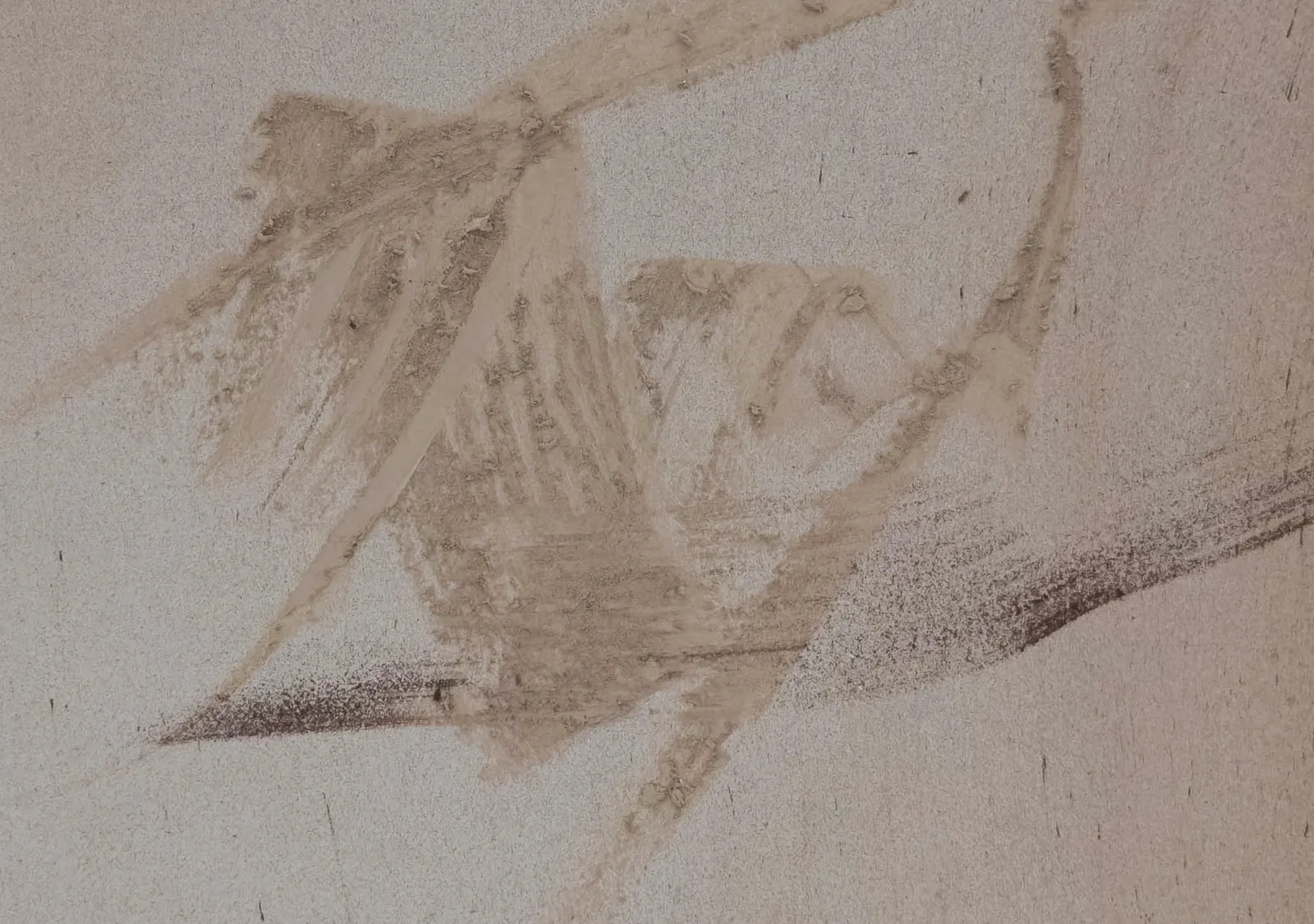 Claire Baker, pink breeze, aloft 2 of 10 (dawn, Vindhya range, Madhya Pradesh, February 18, 2023), 2023