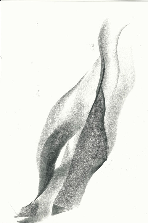 Claire Baker, garden book III, 2020