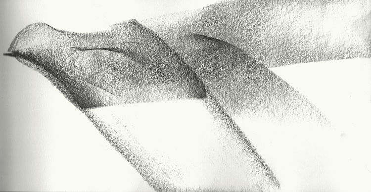 Claire Baker, monsoon books IV, 2020