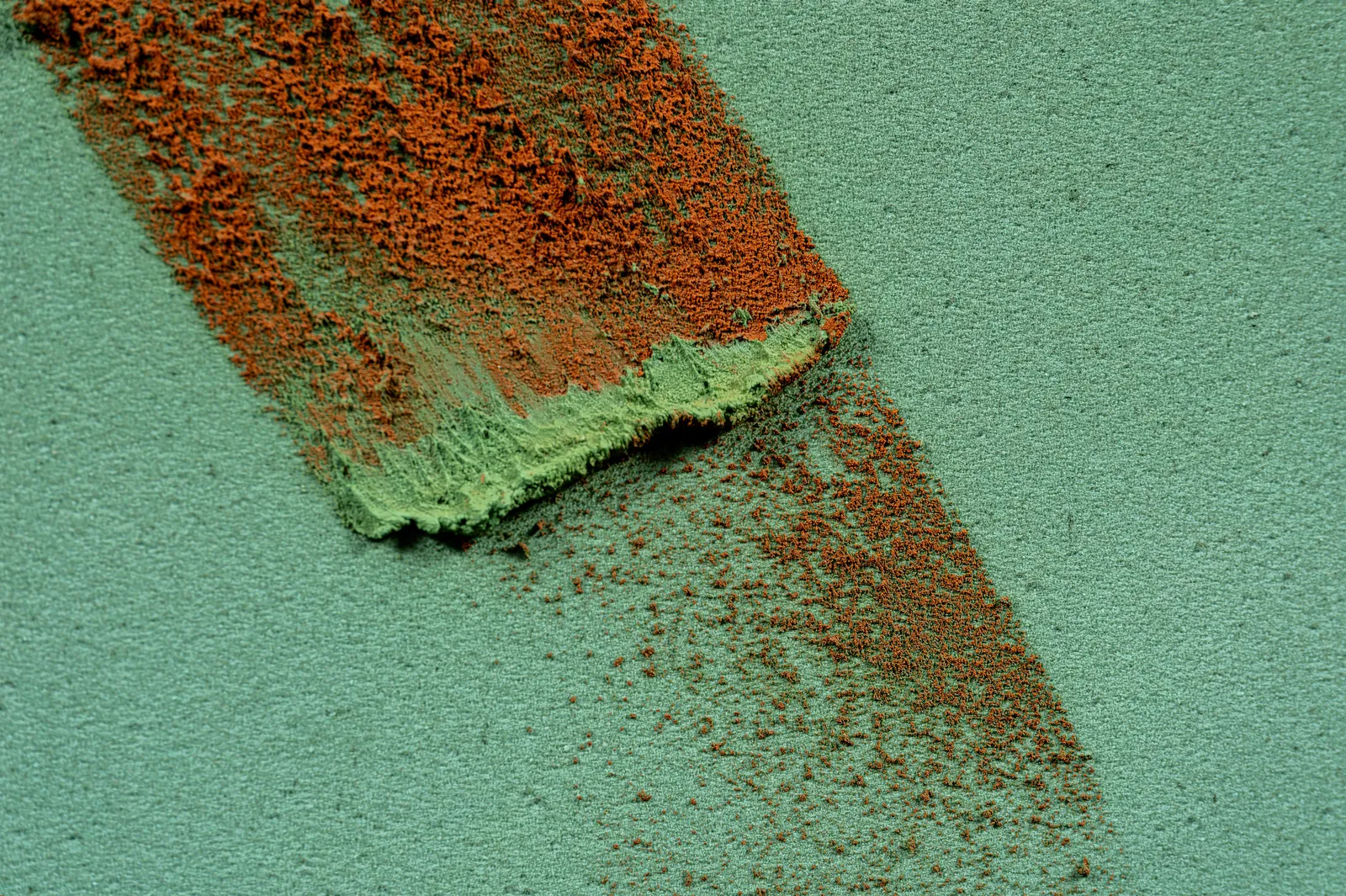 Claire Baker, bloom burst 3, 2024