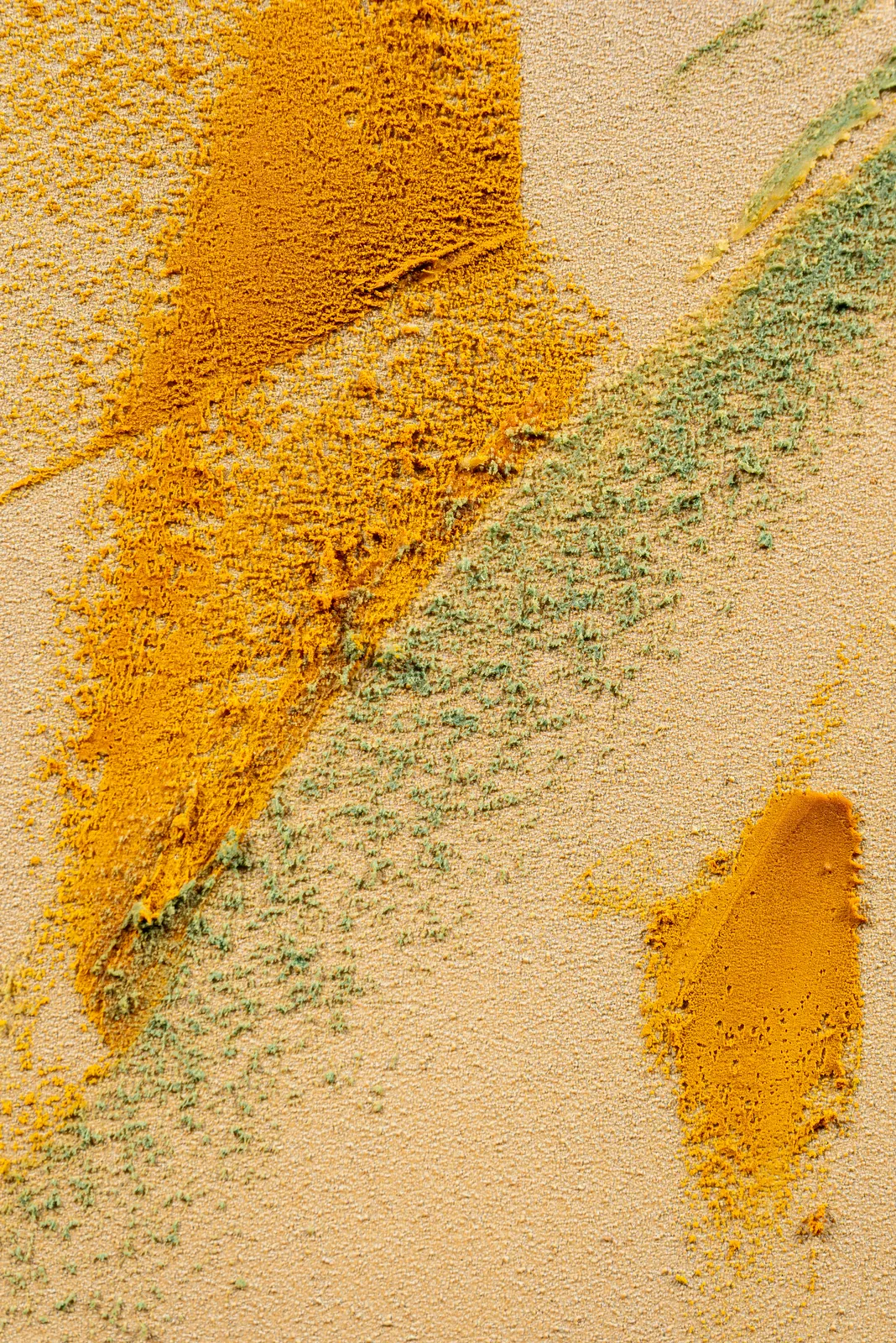 Claire Baker, petals shimmer petals fade 2 of 4 (afternoon, Western Ghats, Maharashtra, October 17, 2024), 2024