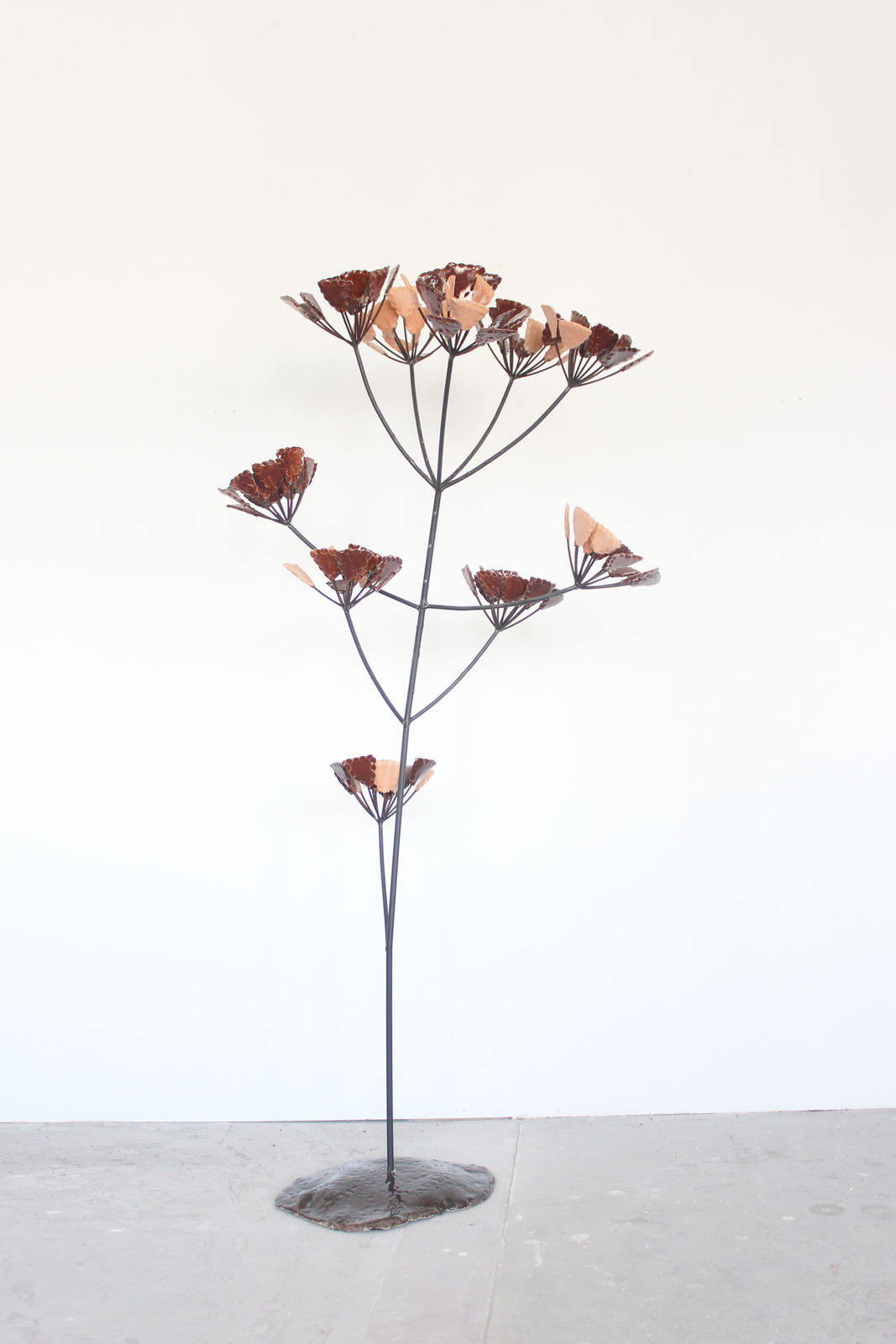 Victor Levai, L'ombelle brune, 2024