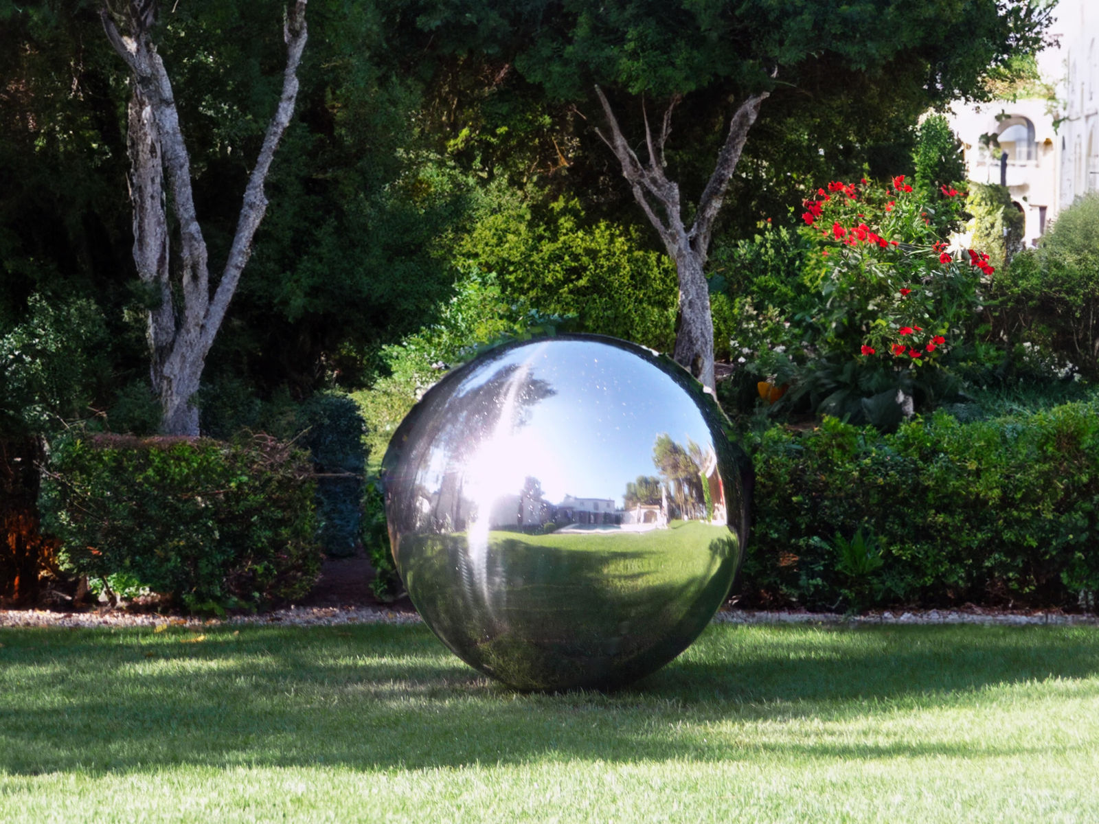 Vladimir Skoda, Speculum Herba III, 2023