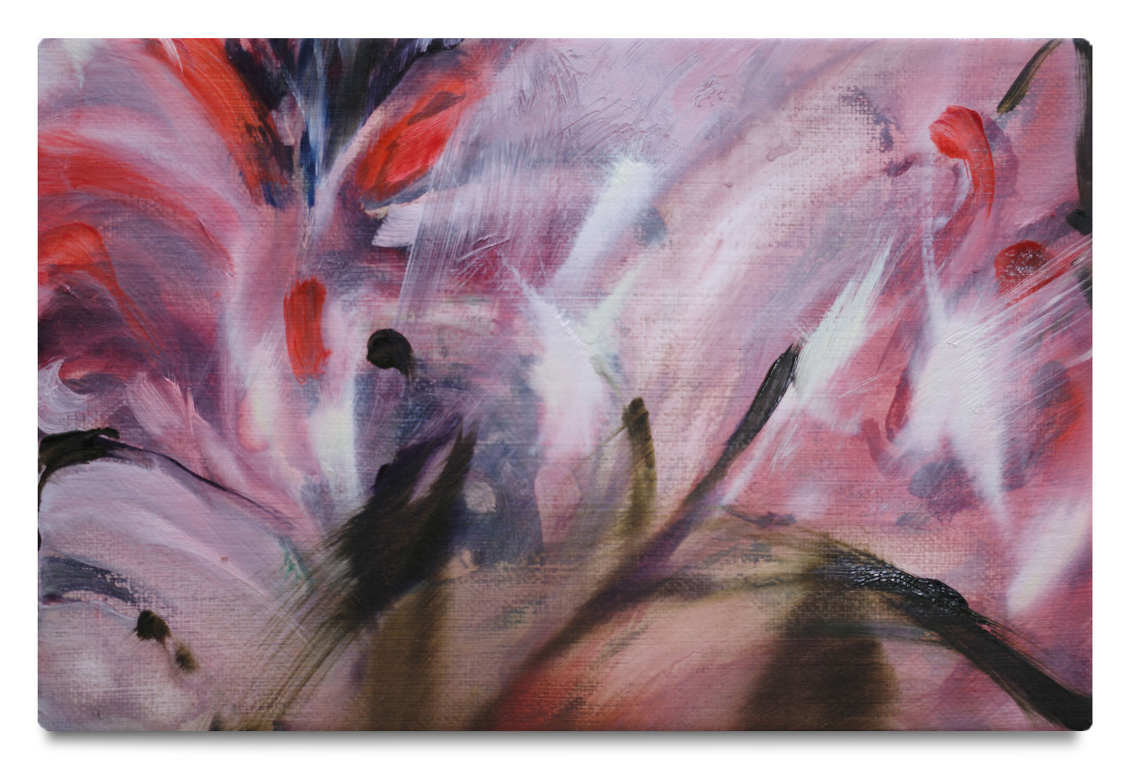 Milène Sanchez, Red light and alpha waves, 2023