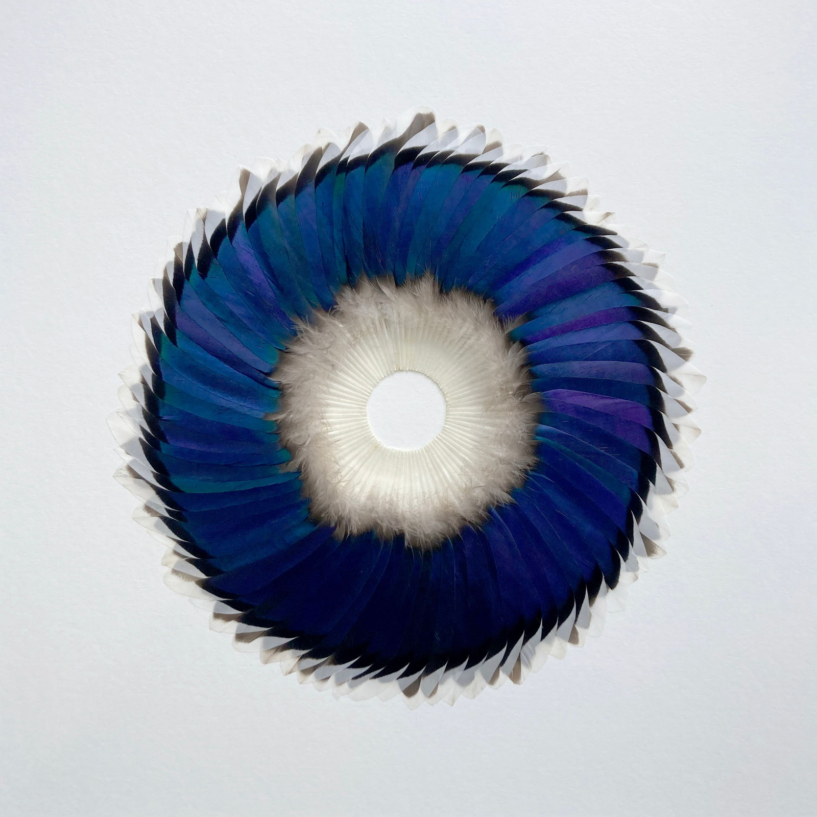 Kate MccGwire, Sepal Speculum 1, 2025