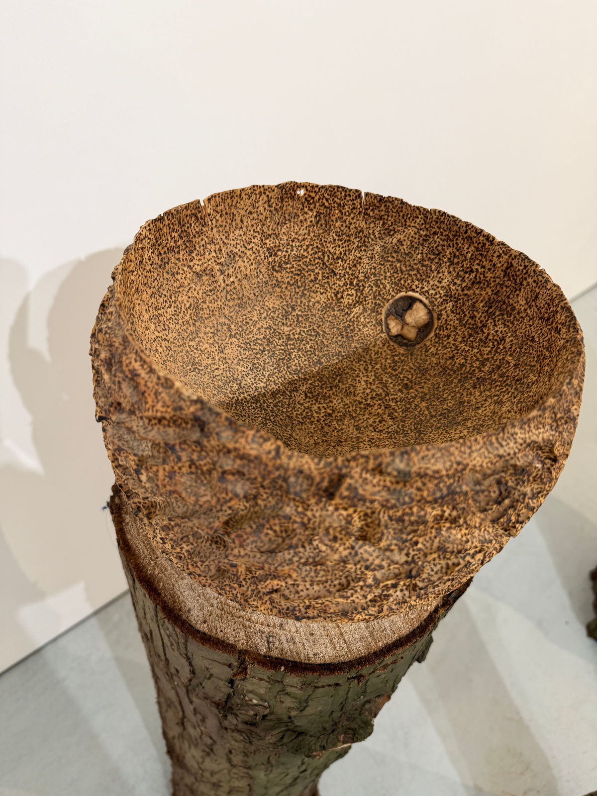 Darren Appiagyei, Growth vessel 1, 2025