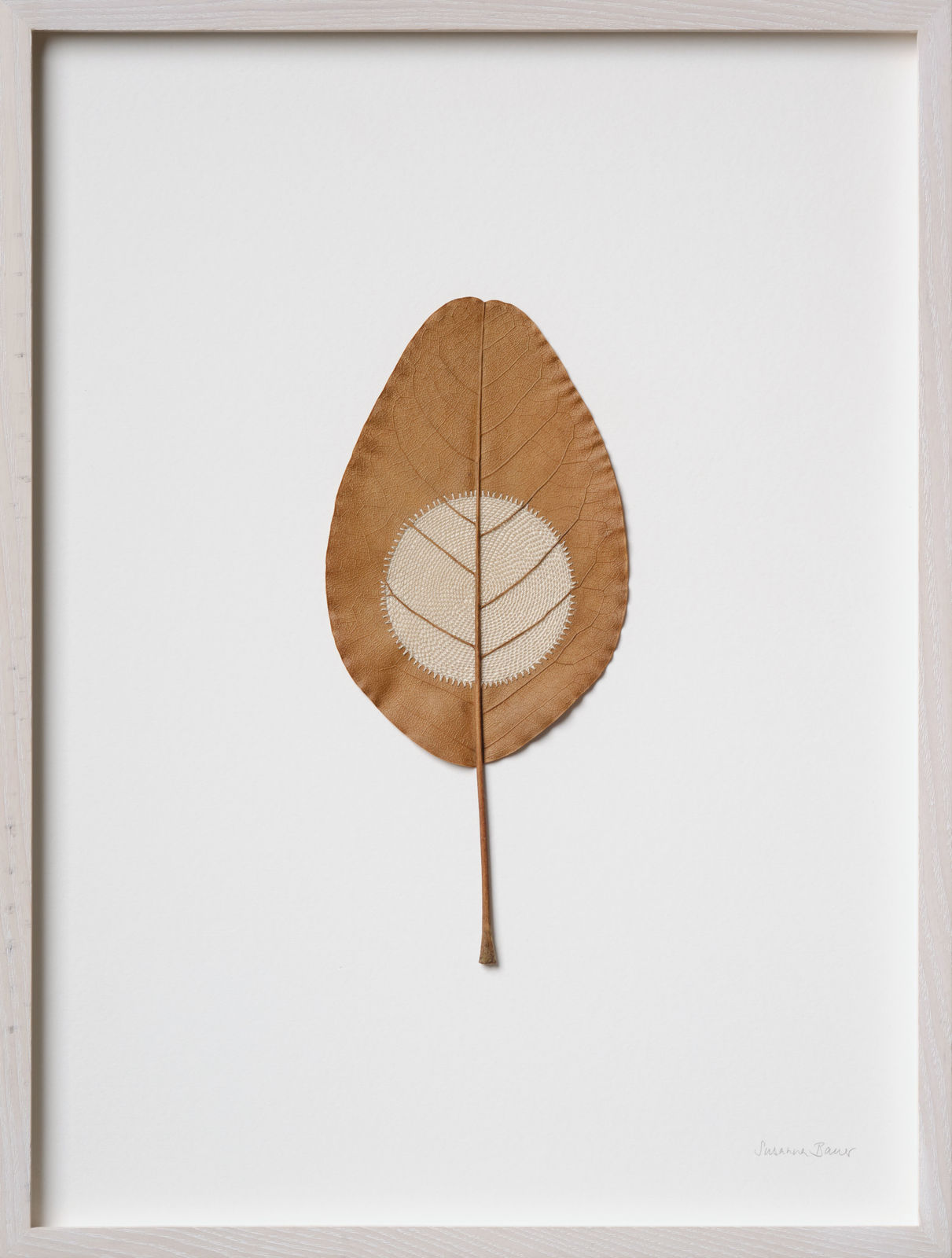 Susanna Bauer, Moon.86, 2025