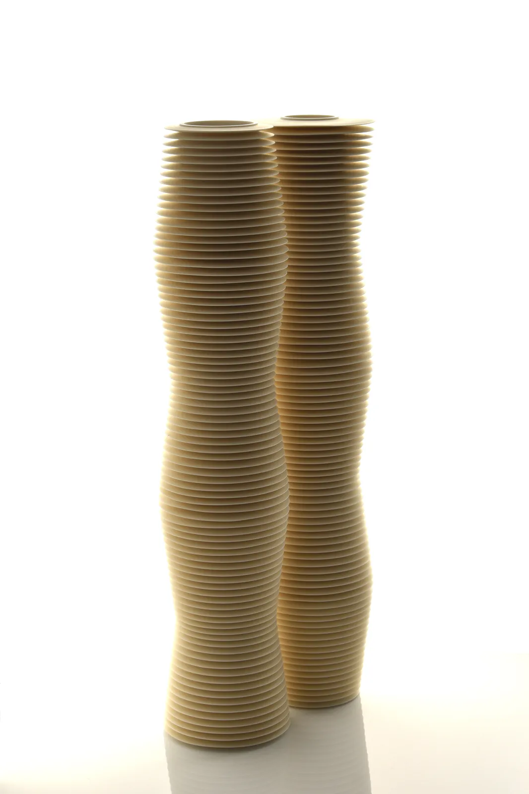 Nicholas Lees, Diptych (24.27), 2024