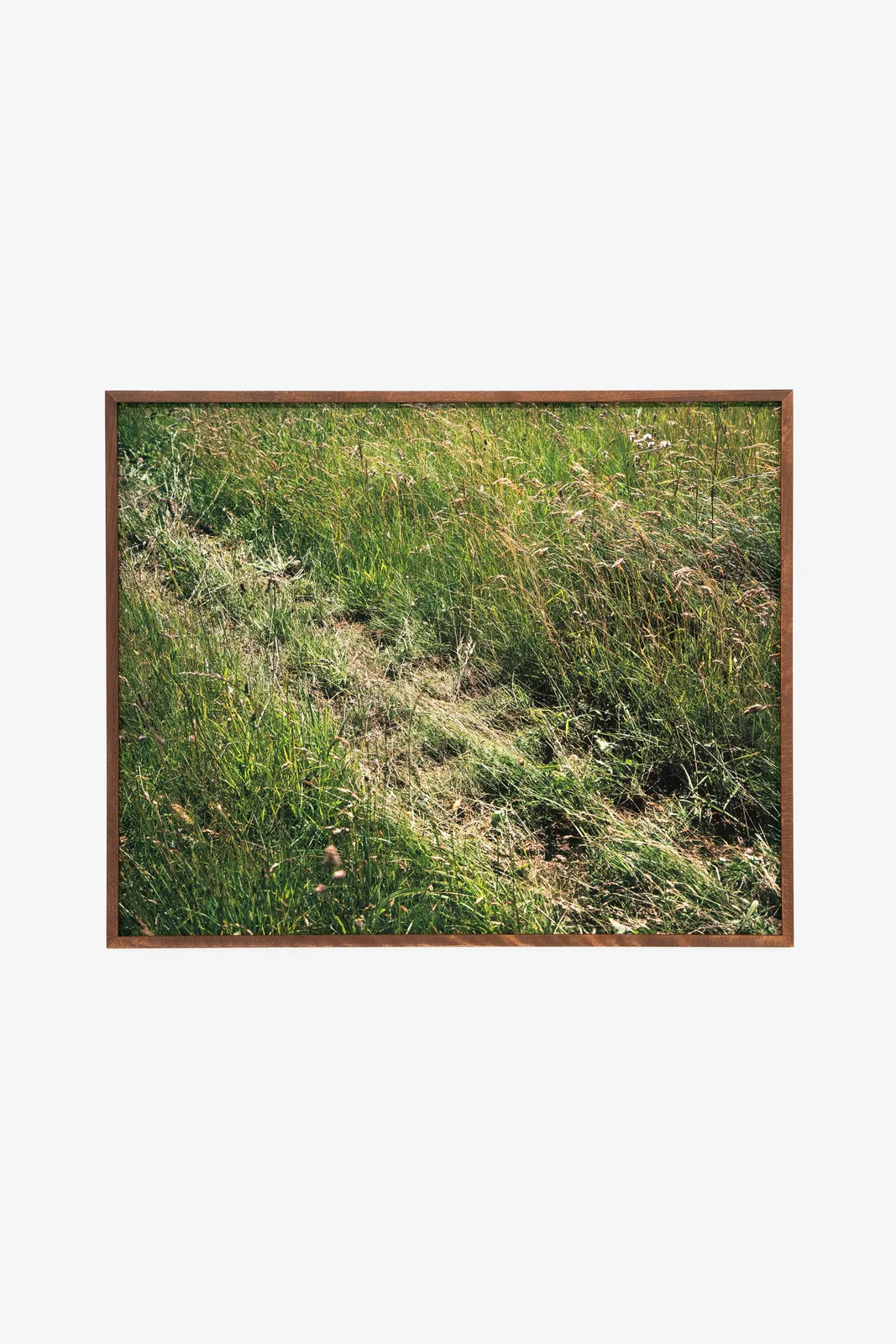 Andrew Cross, A Blunt Instrument… (#11), 2025