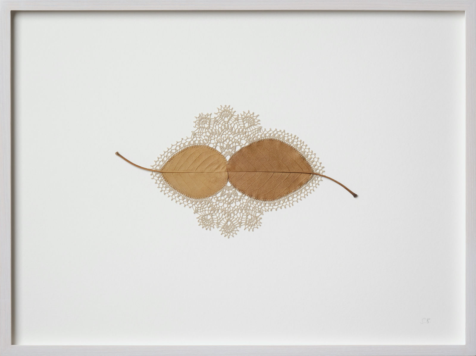 Susanna Bauer, Daydreaming, 2025