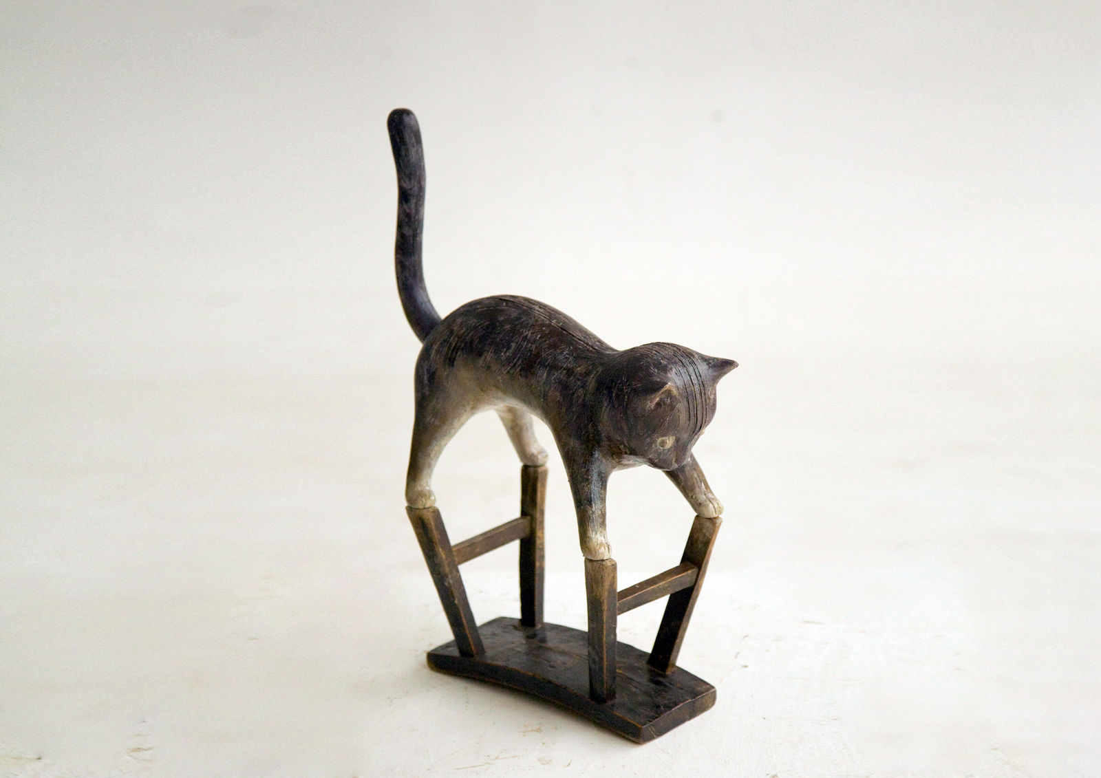 张弱, The Animal–Cat, 2013