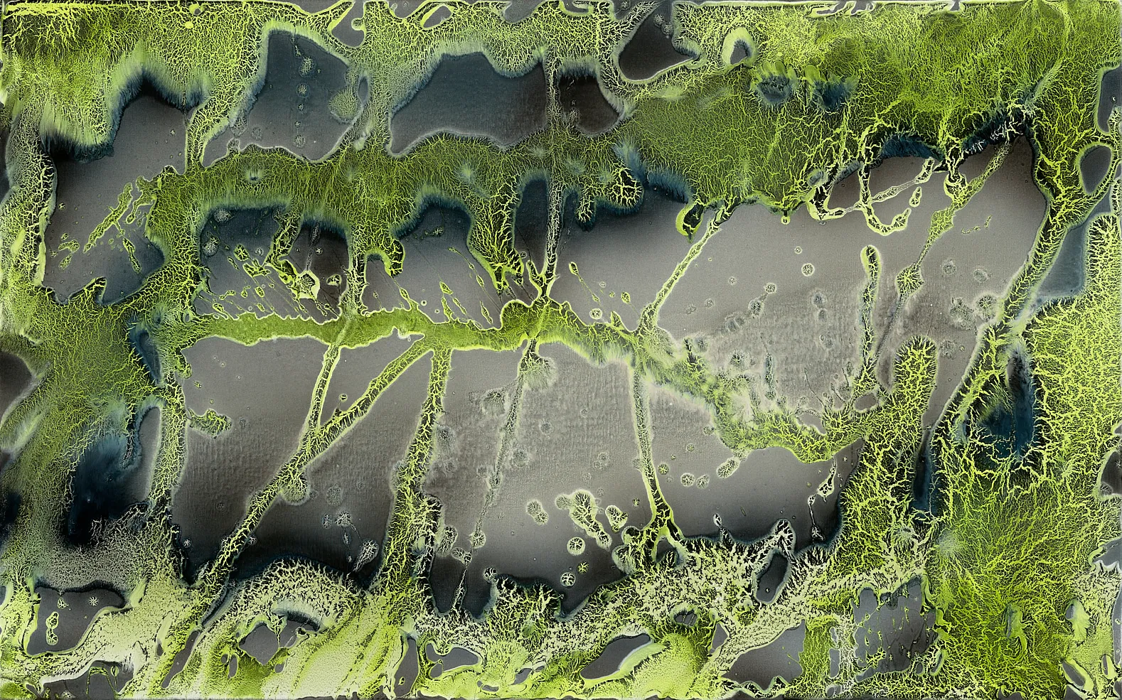 Márta Kucsora, Balance Between Air and Water, 2021