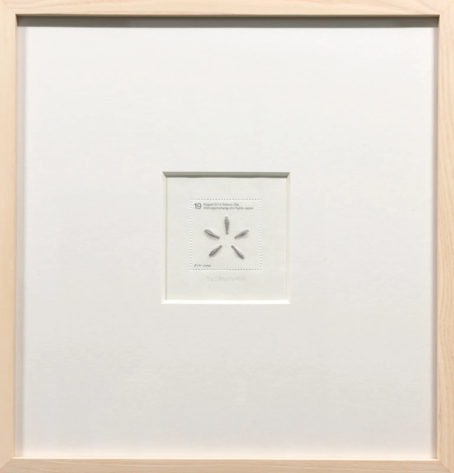 Saburo Ota, Seed Project from Kyoto_Dahlia., 2014