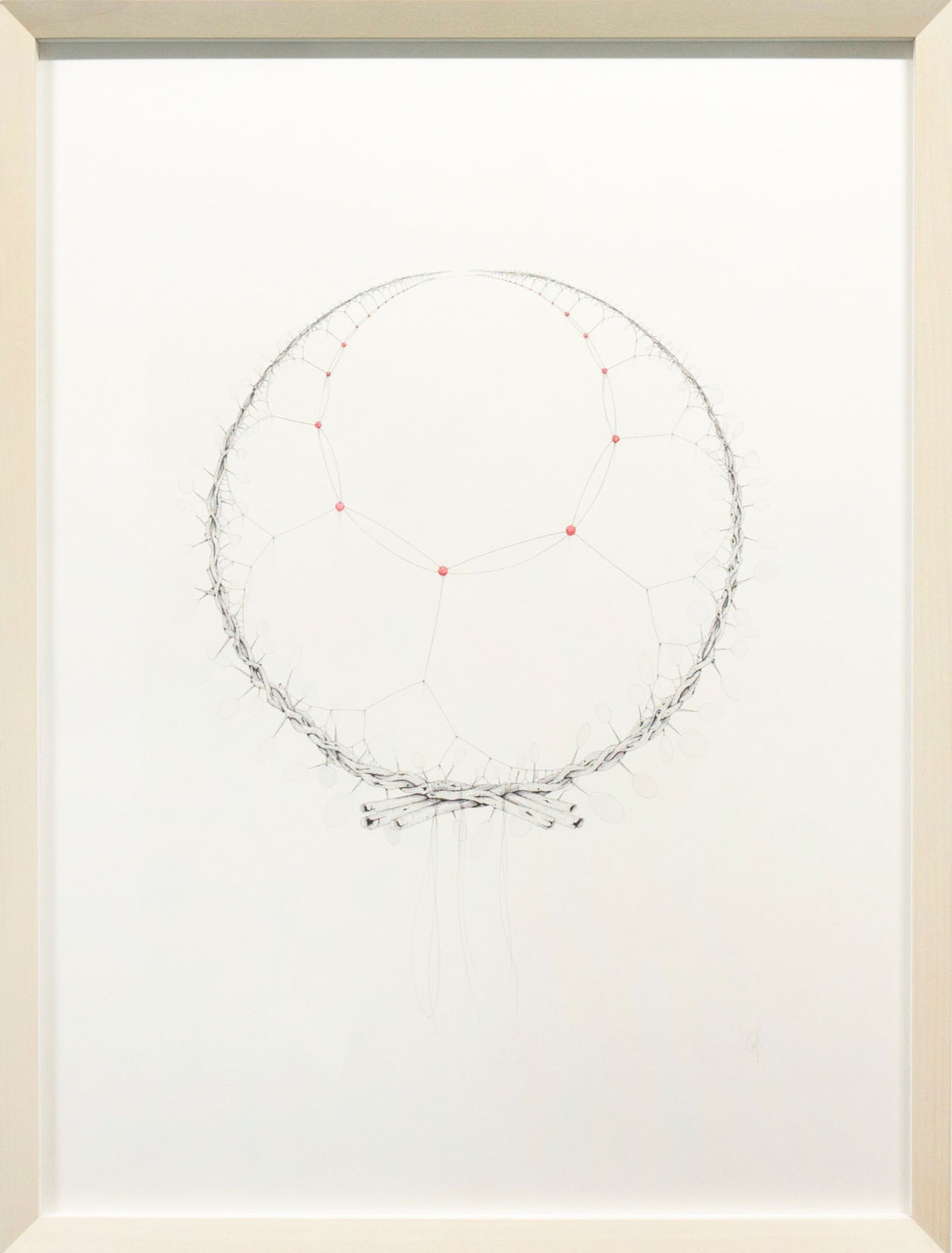 Michael Whittle, Apeirogon in Thorned Circle with Blank Photosynthetic Disks, 2015