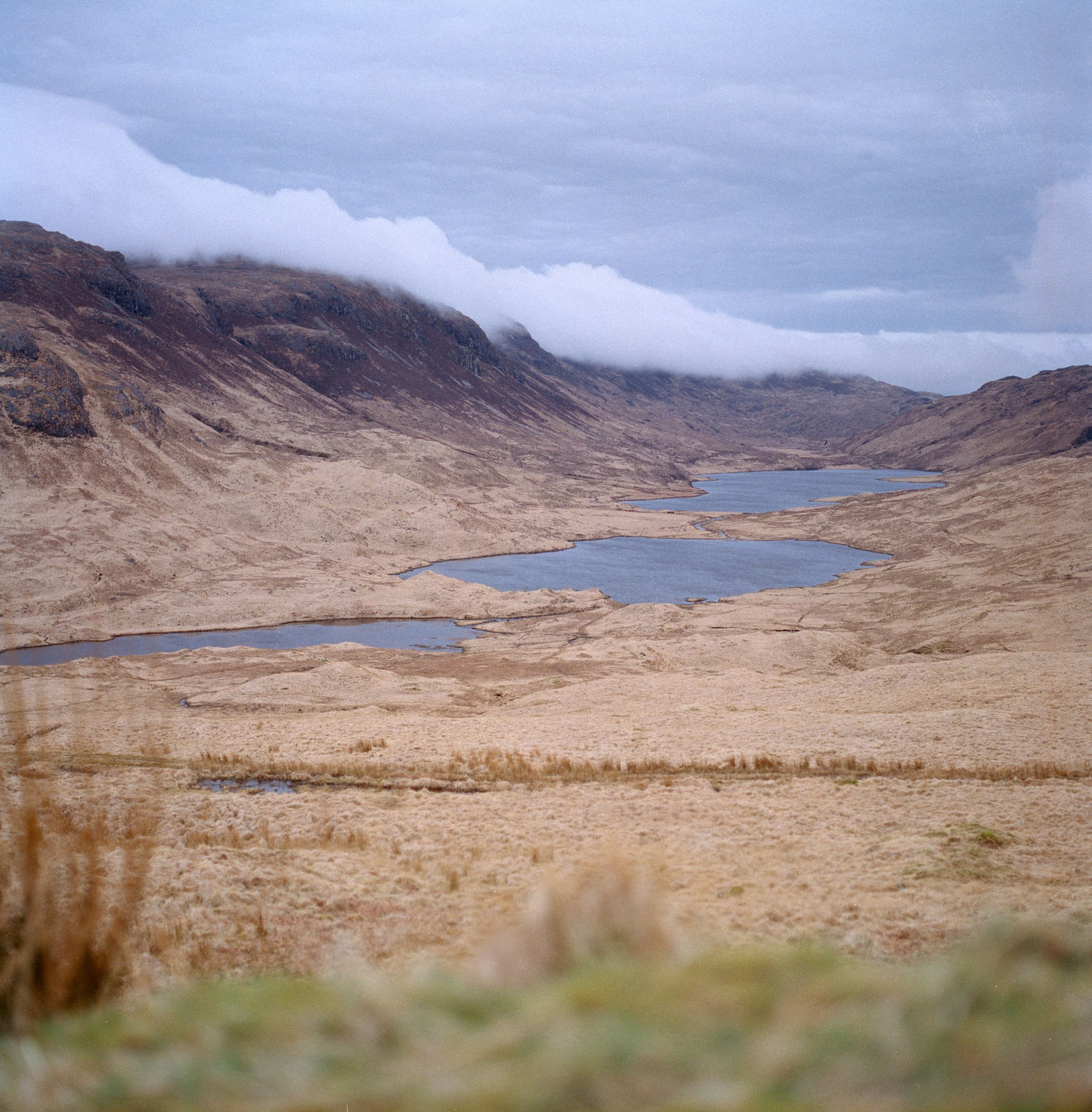 Louise Long, Lipper (ripple), 2024