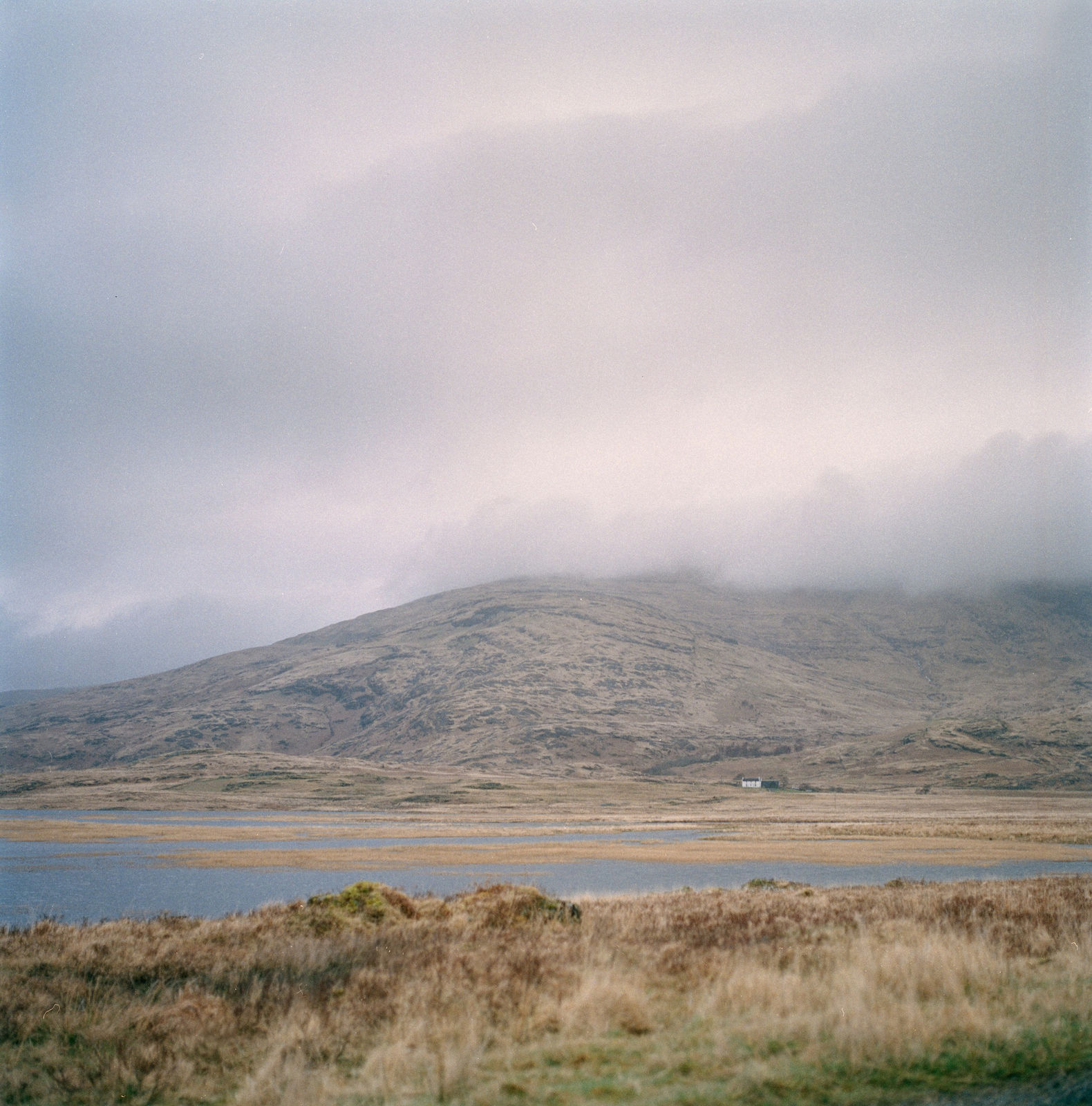 Louise Long, Drow (mist), 2024