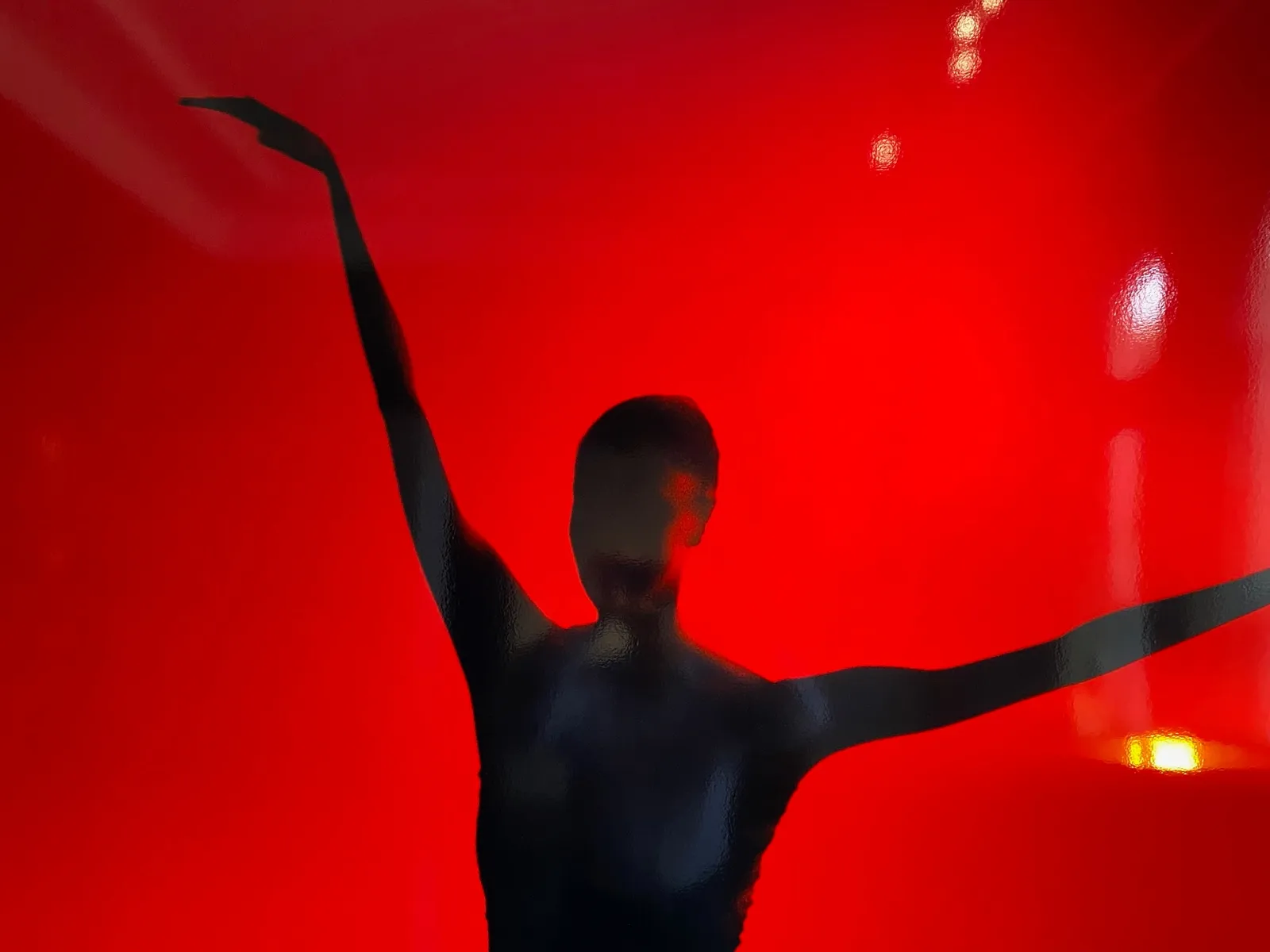 Hervé SAINT HELIER, Rouge cardinale, 2009