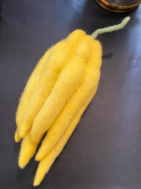 GUY LHOMME Héléna, Main de boudha, 2023